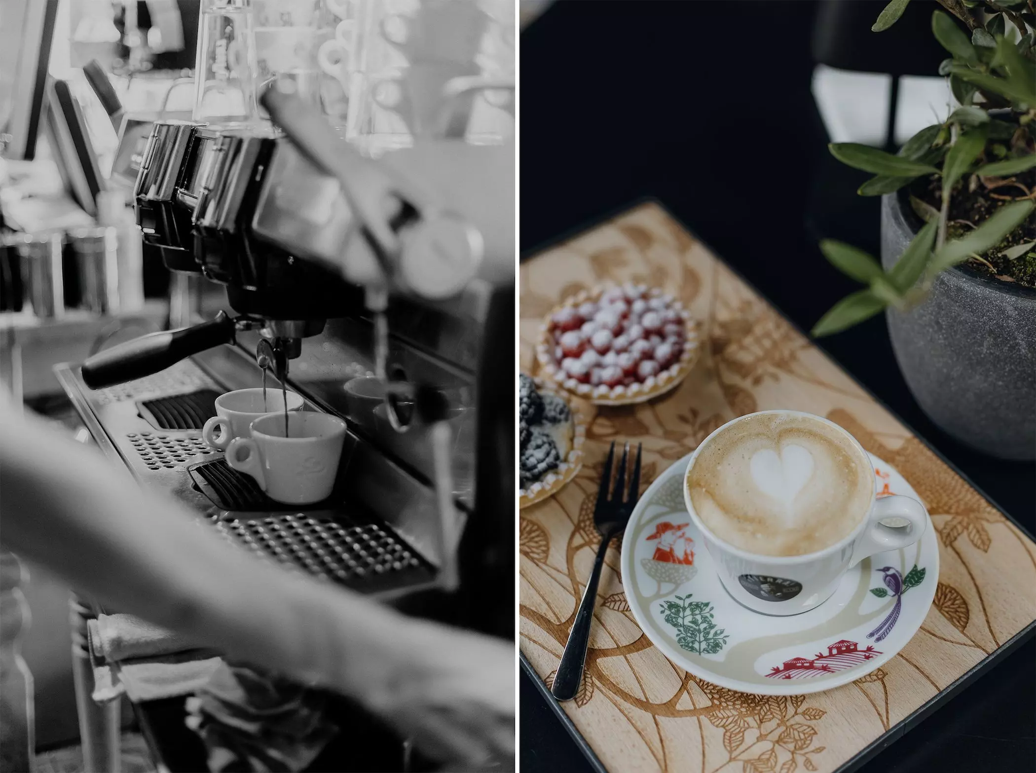 Lavazza-Teierra-kaufen