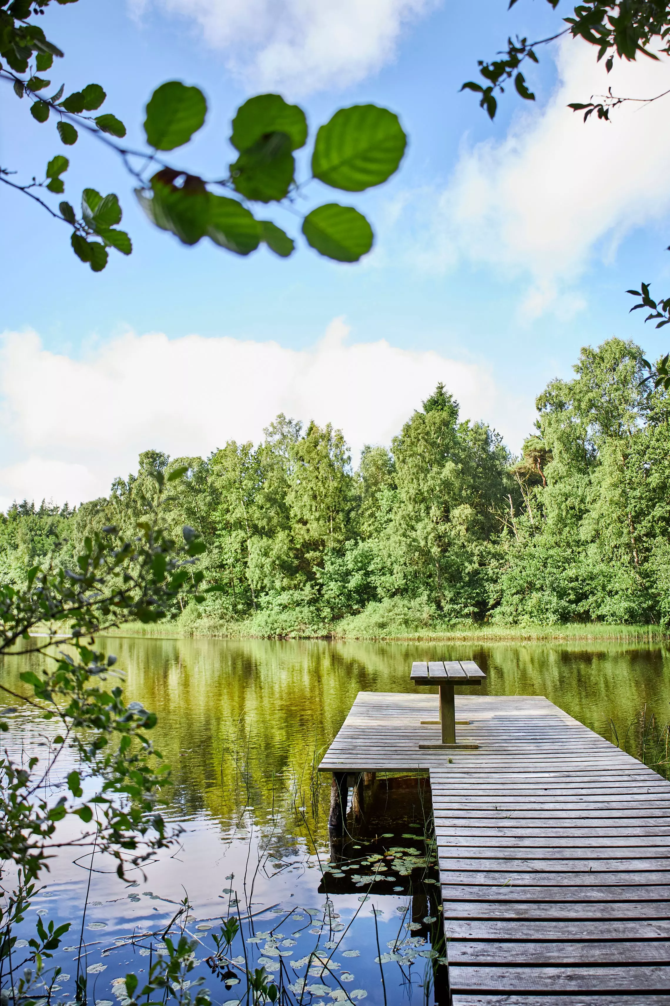 Waldsee mit privatem Badesteg in der Naehe der Loevtag-Baumhuetten auf Bornholm.