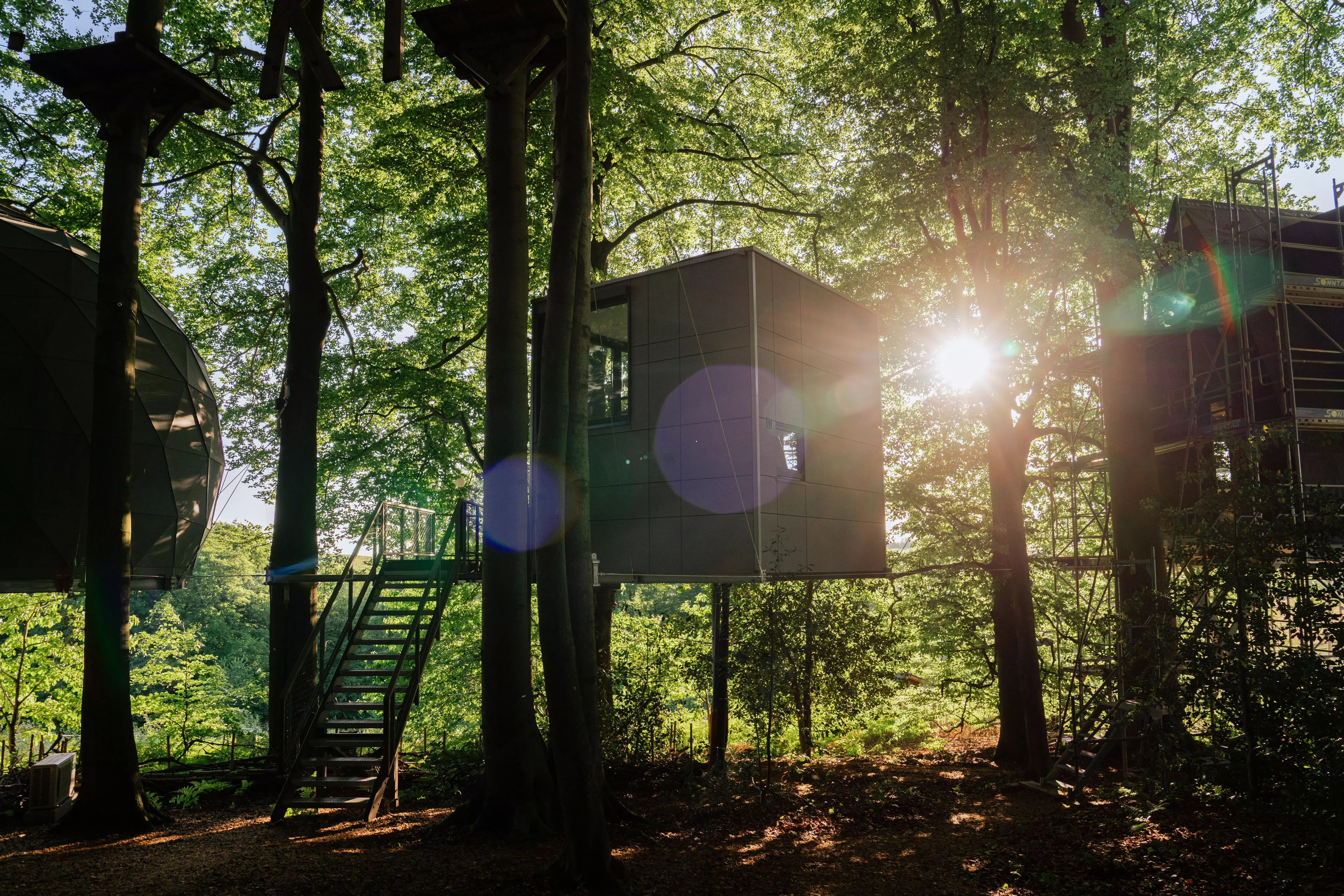 Im K1 Wald stehen sechs individuelle Baumhaeuser, die alle einzigartig sind und aus natuerlichen Materialien gestaltet.