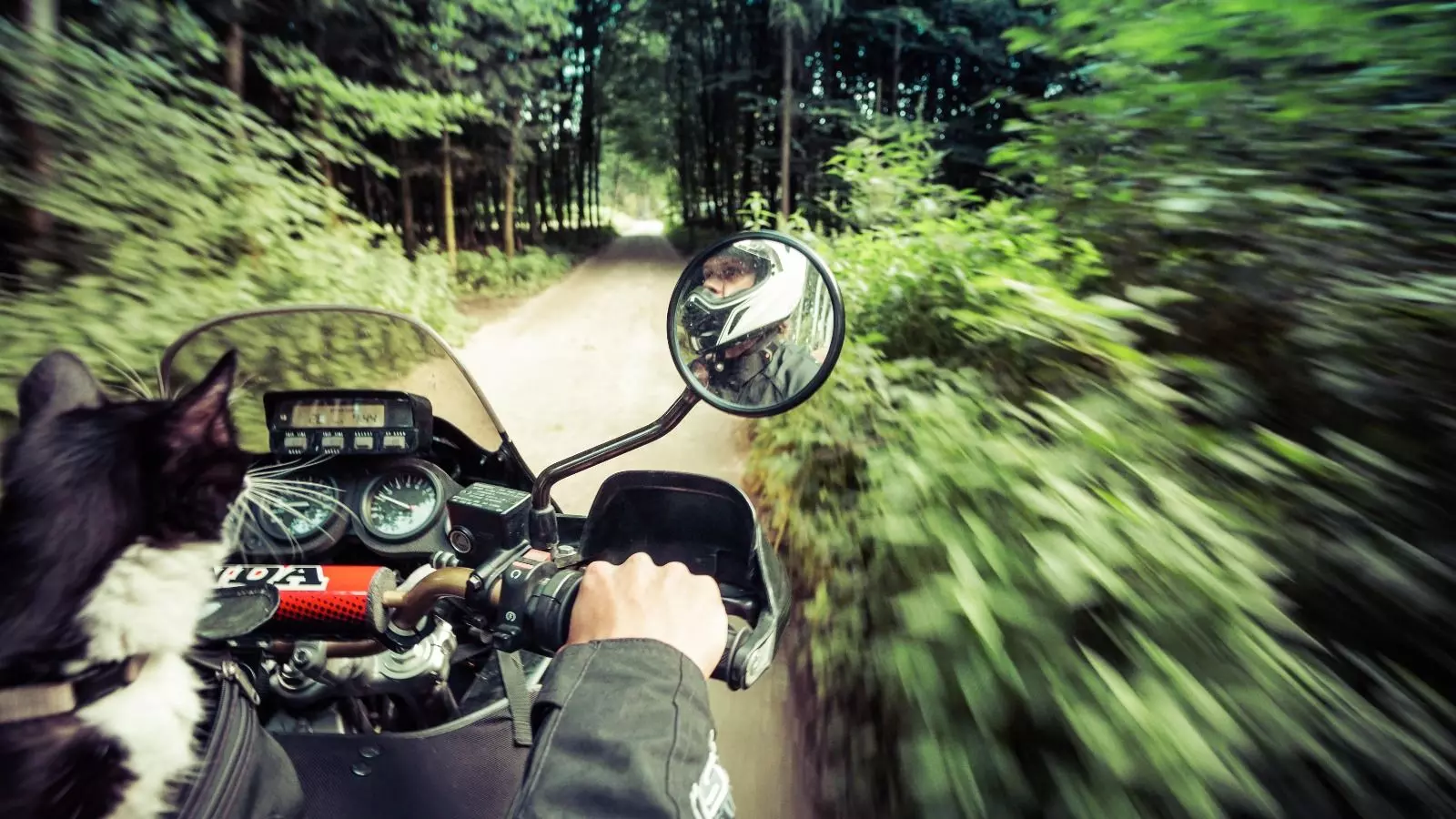 Motomogli-Motorrad-Roadtrip