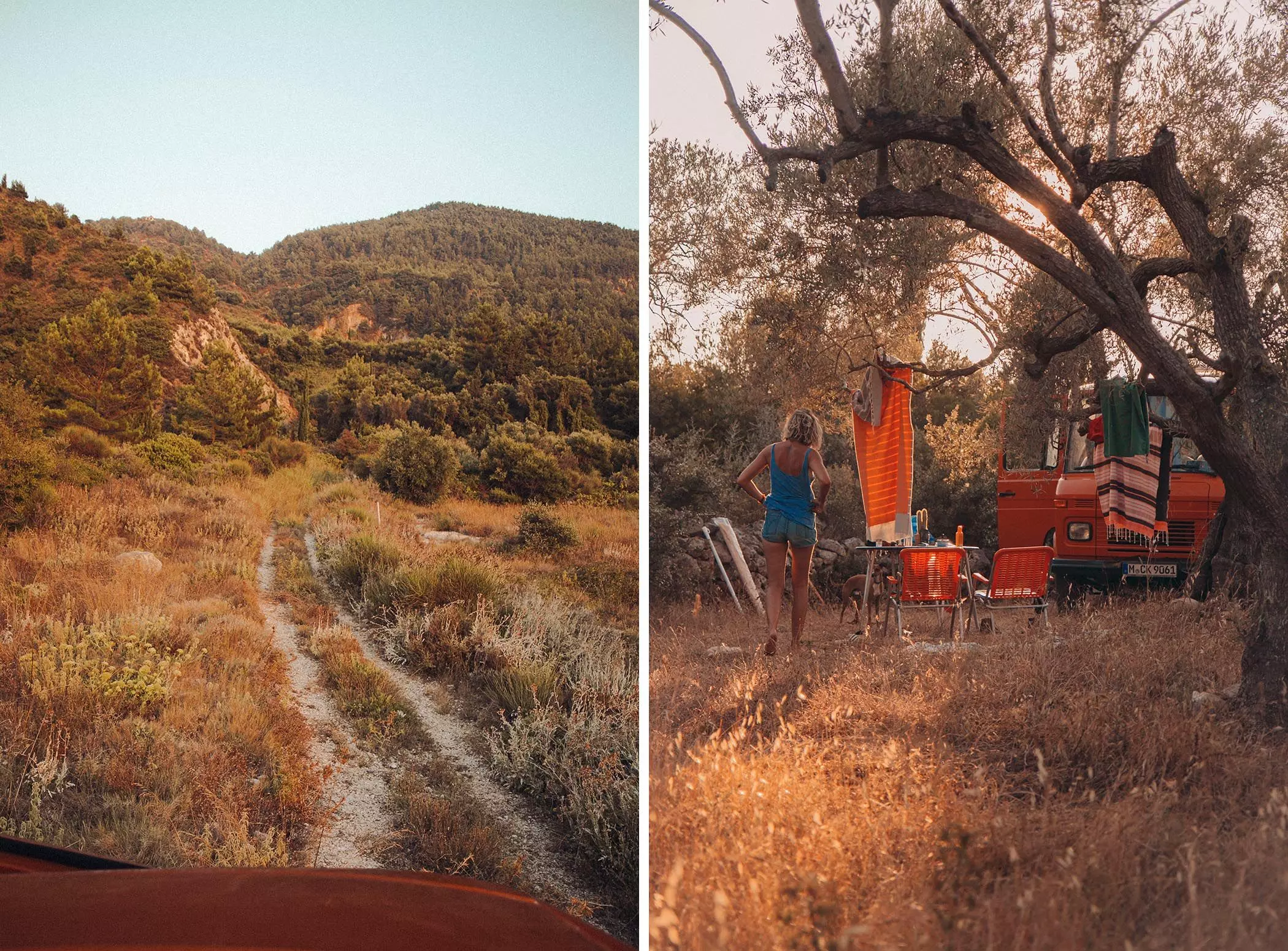 Camping in Griechenland mit orangefarbenem Van unter Olivenbaum - femtastics