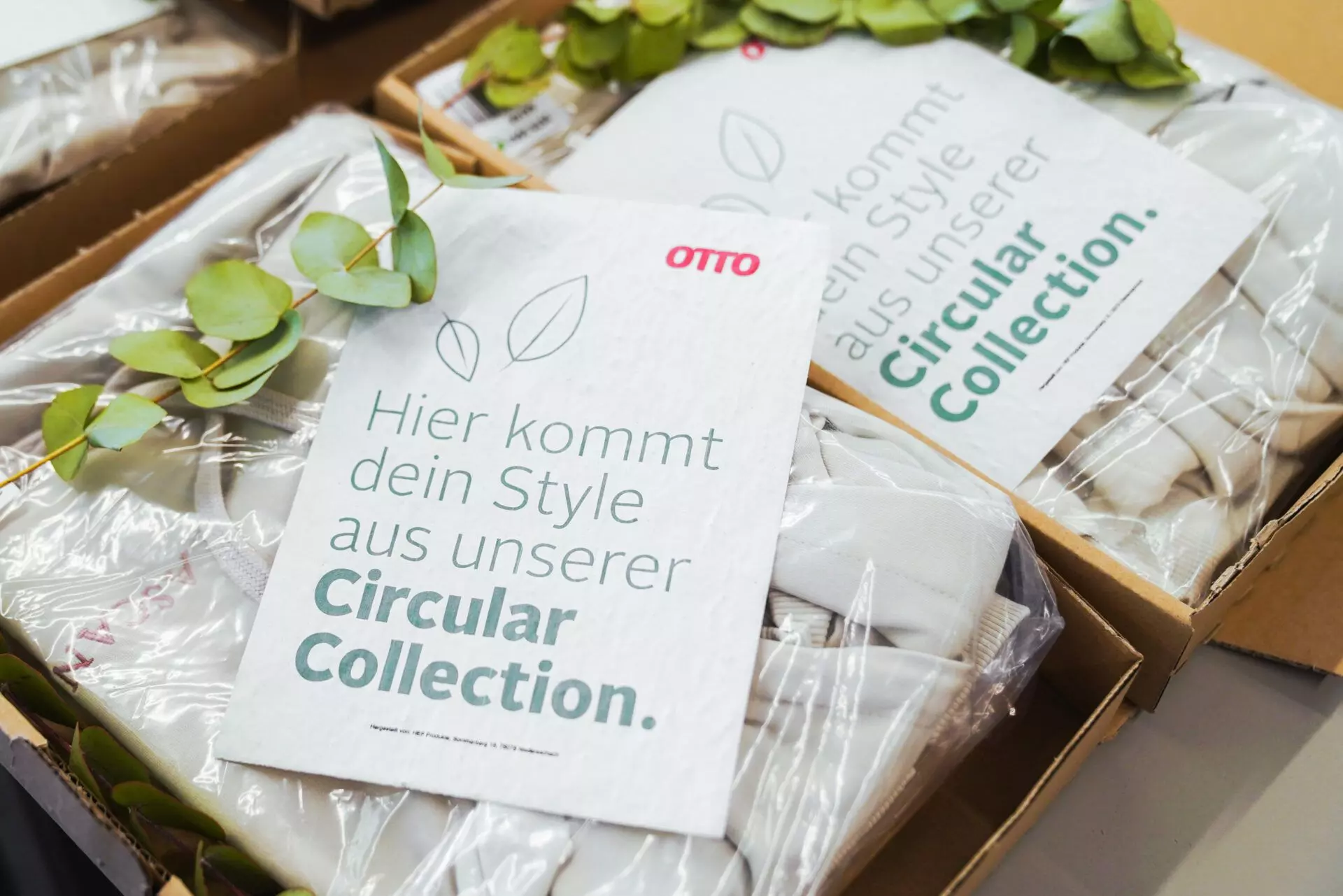 Verpackung der Circular Collection von Otto - femtastics