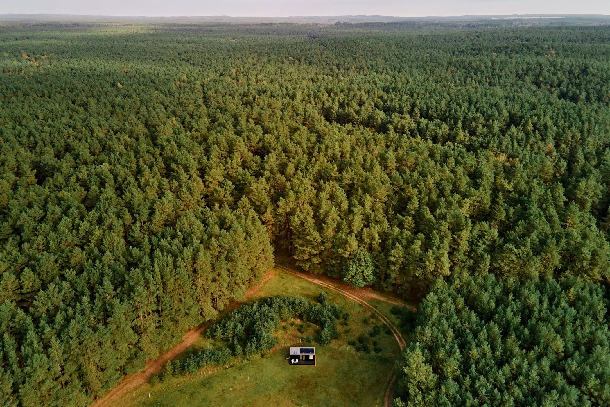 Drohnenaufnahme eines Tinyhouses mitten im Wald - femtastics
