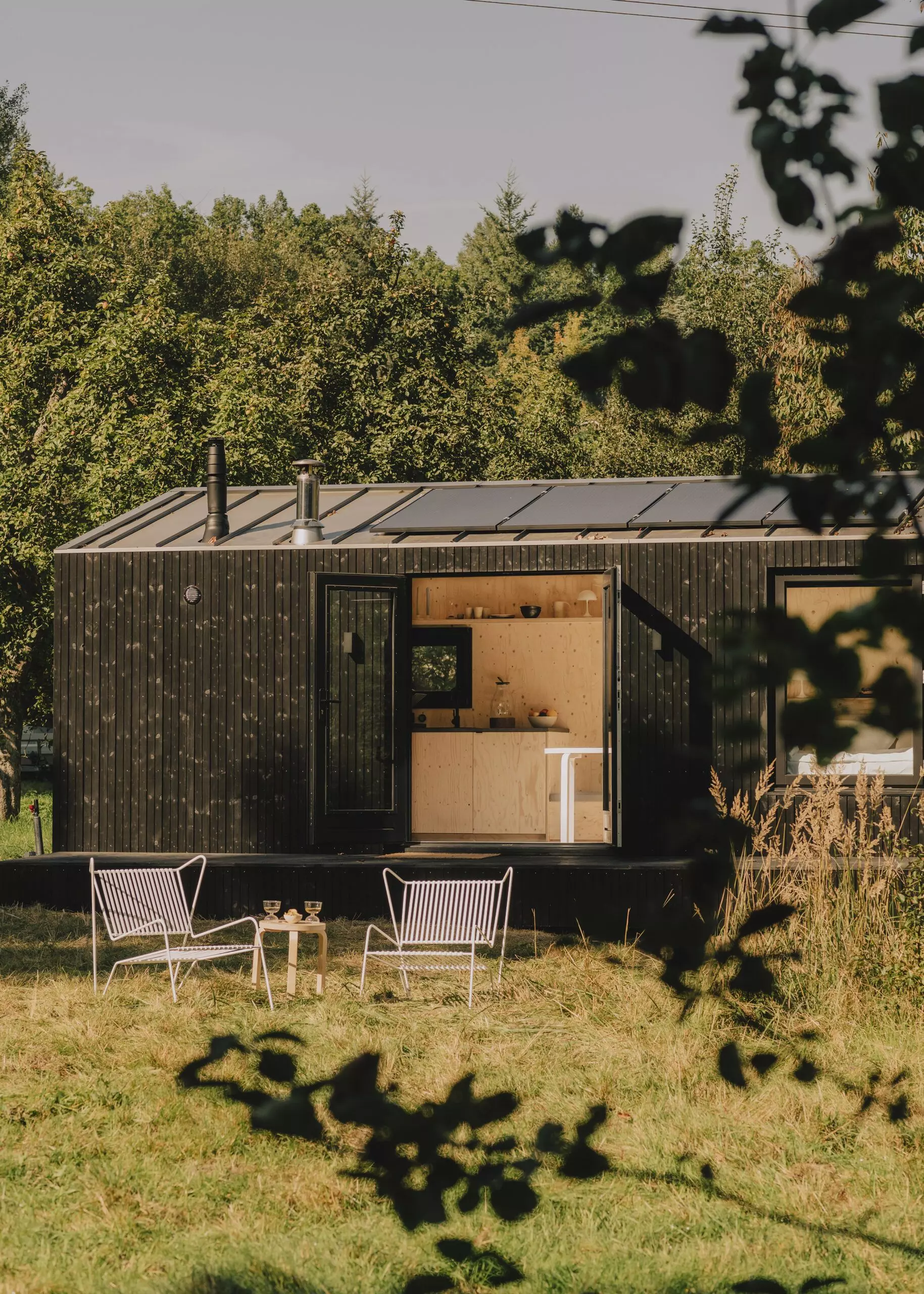 Tinyhouse vor alten Apfelbäumen - femtastics