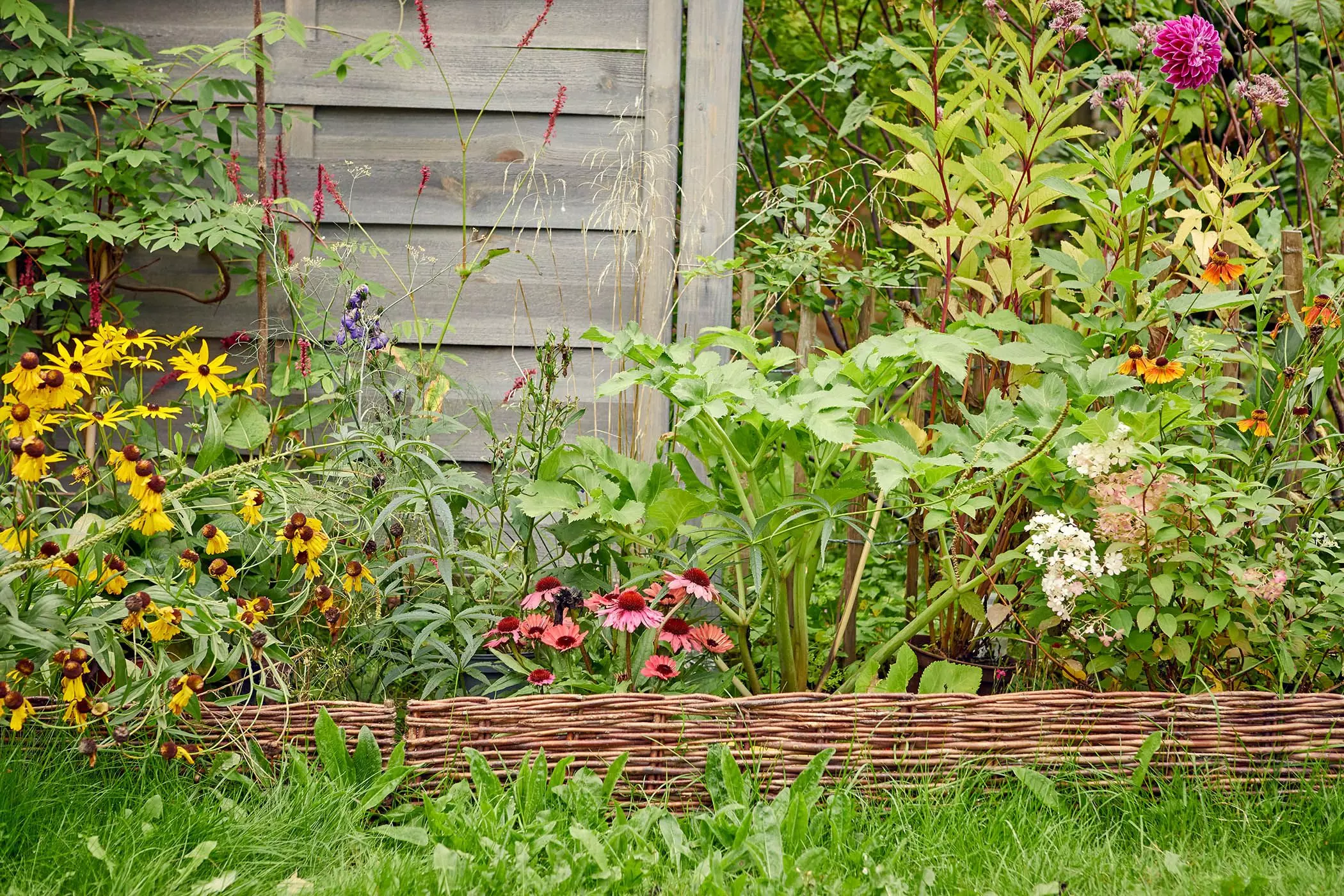 Schrebergarten-170qm26