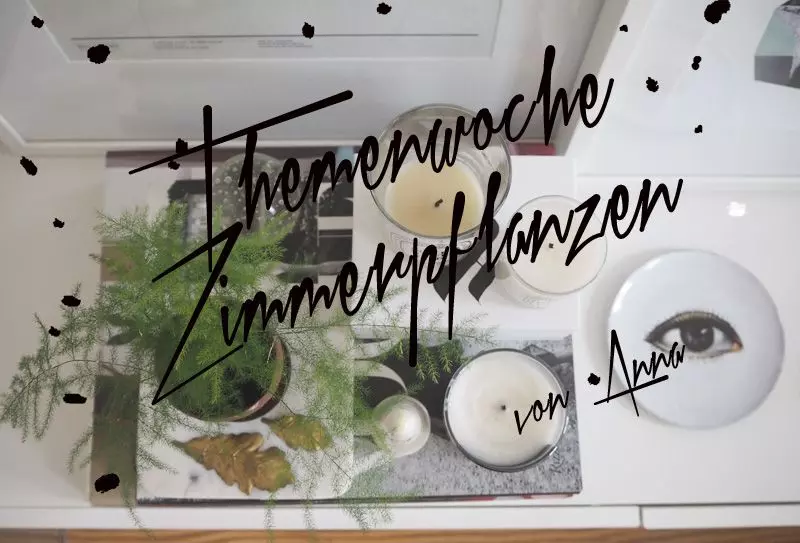 Themenwoche-Zimmerpflanzen-Anna