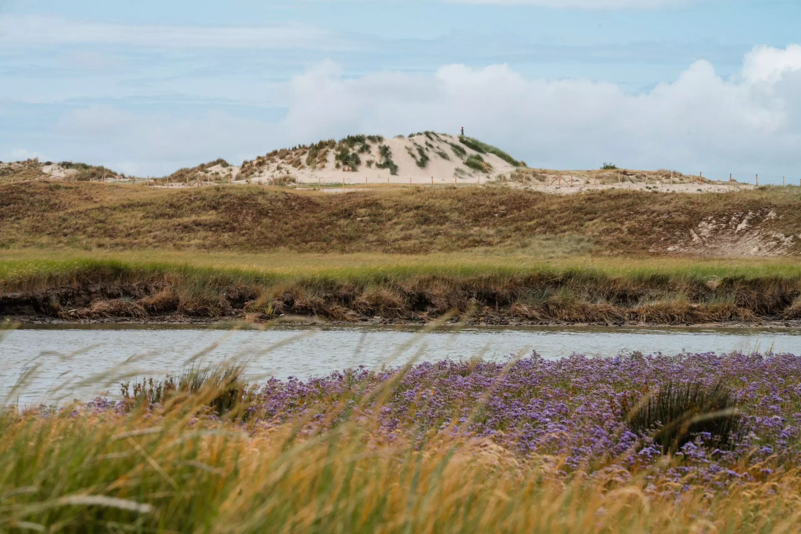 Toerisme Vlaanderen – Zwinstreek – Bjorn Snelders – 2 (1)