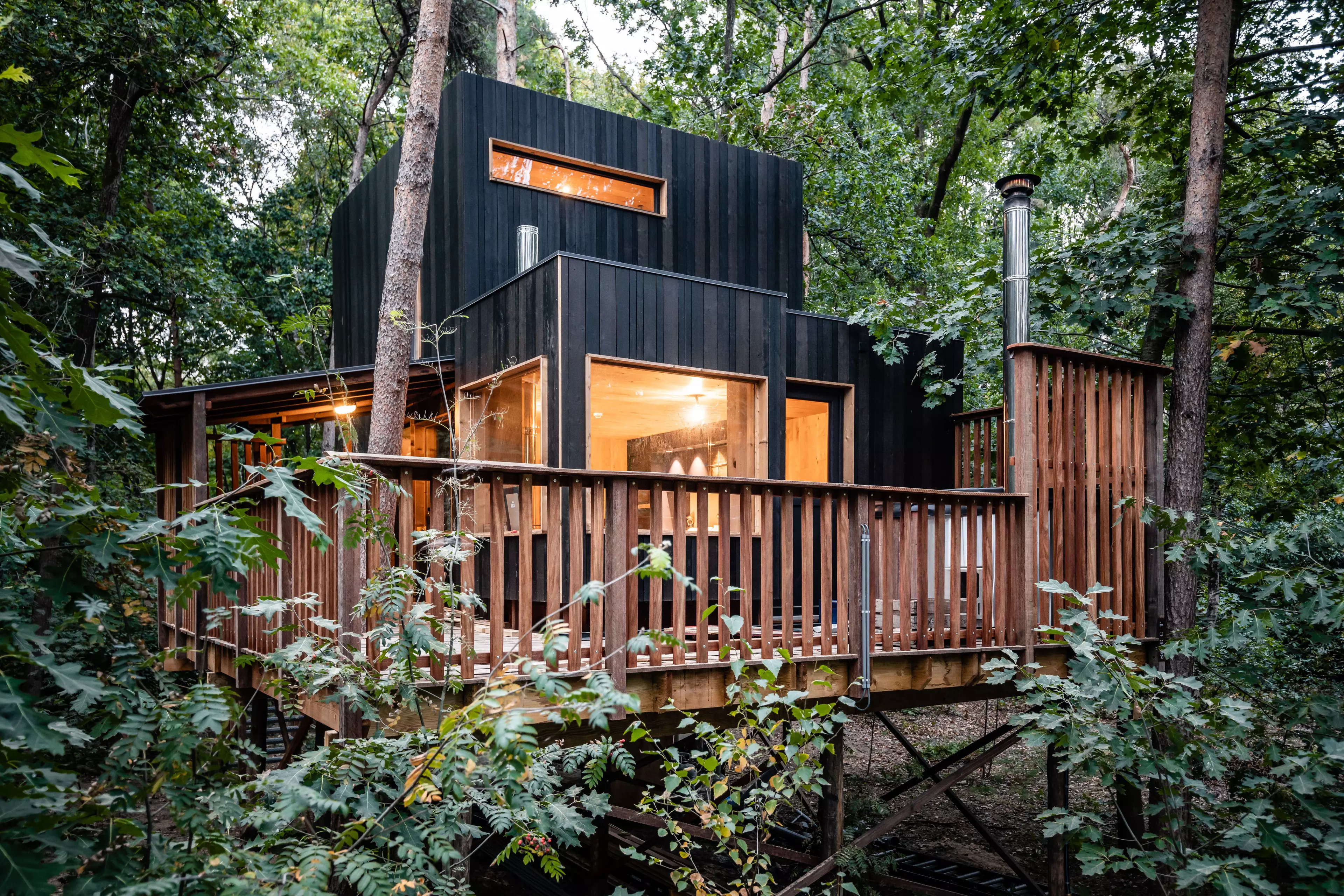 Eins der Treelodge-Baumhaeuser ist moderner gestaltet, mit dunkler Holzverkleidung und geschnitten wie eine Cabin.