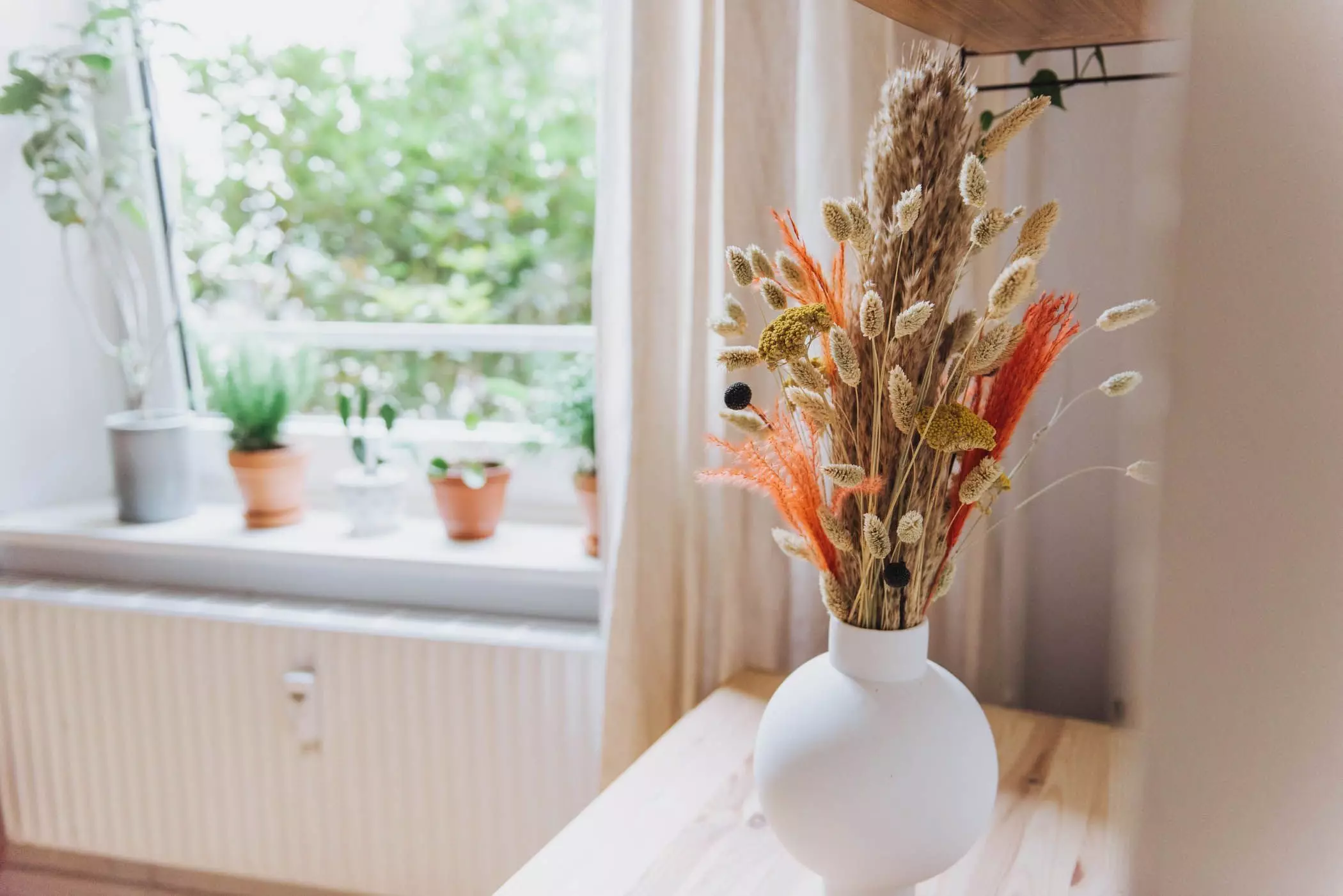 Trockenblumen-online-kaufen