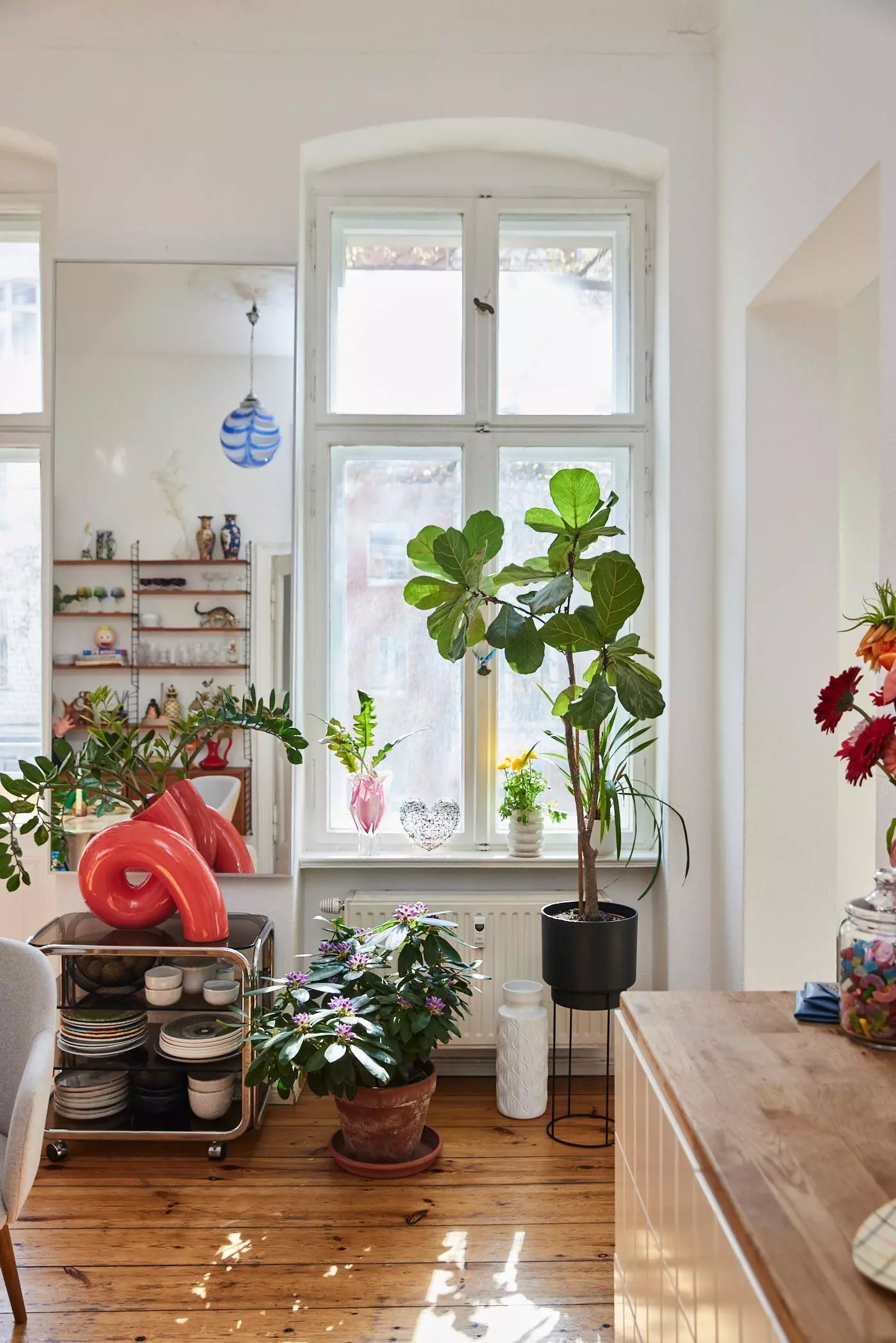 Rhododendron und Feigenbaum in der Küche von Vreni Frost - femtastics