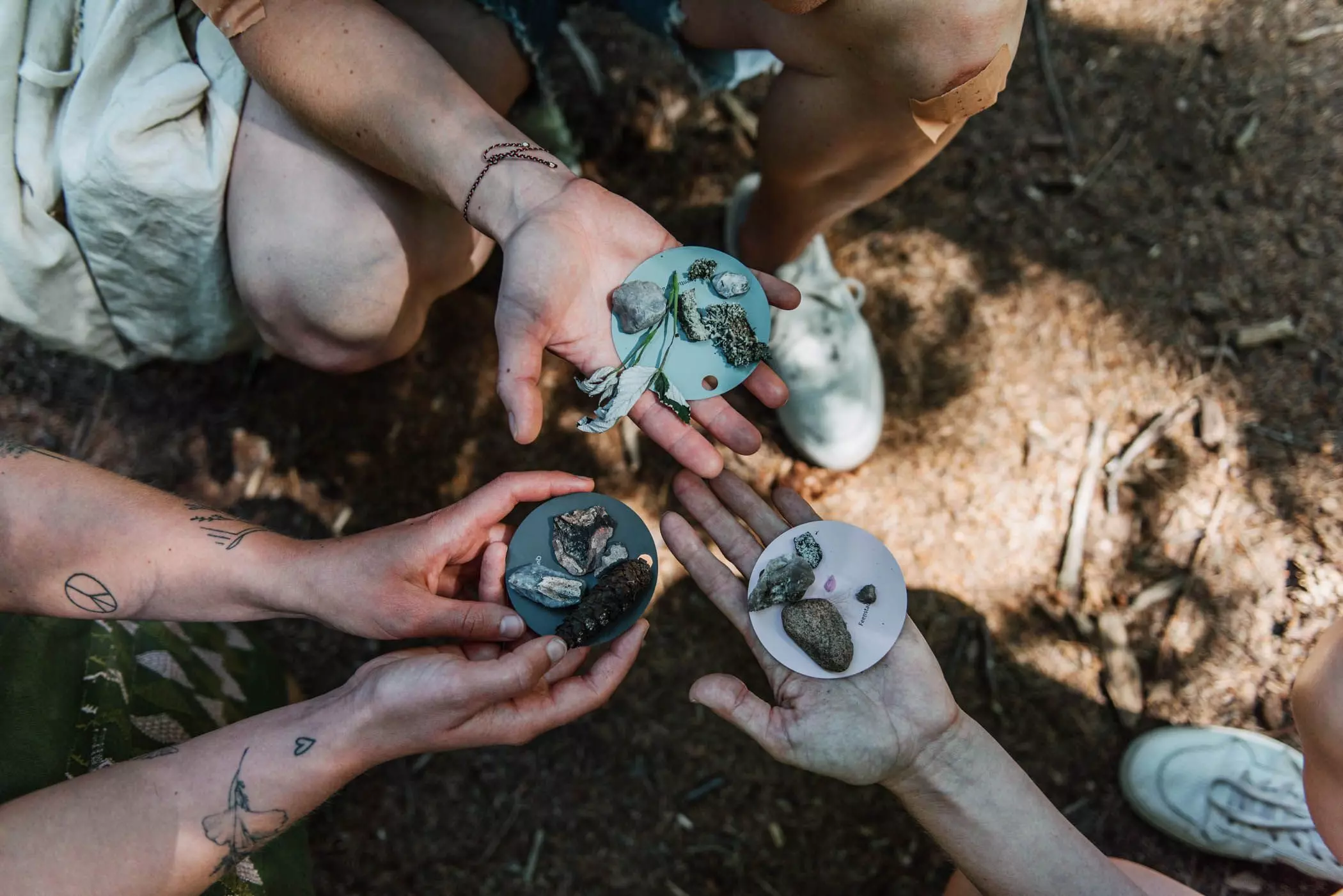 Waldbaden_Sachsenwald
