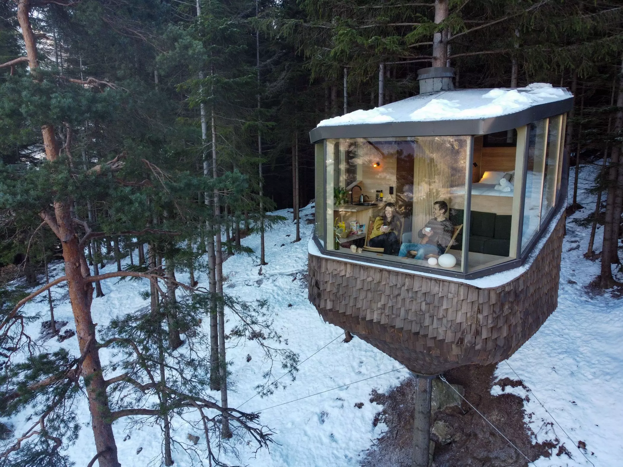 Woodnest-Baumhaus femtastics