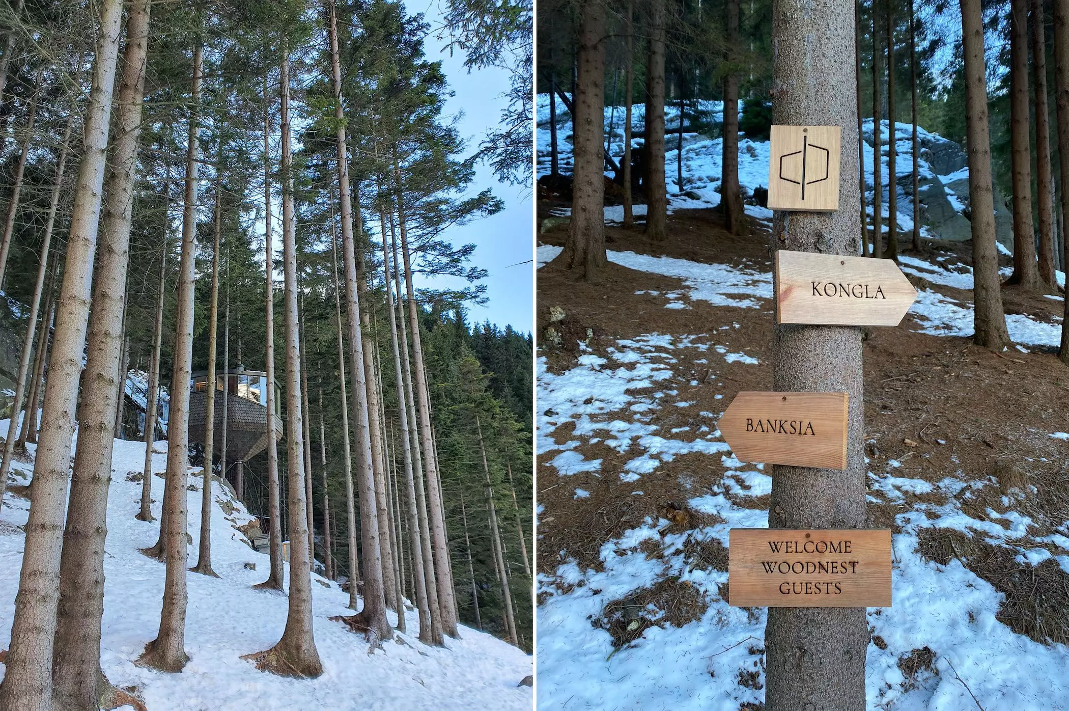 Woodnest-Norway