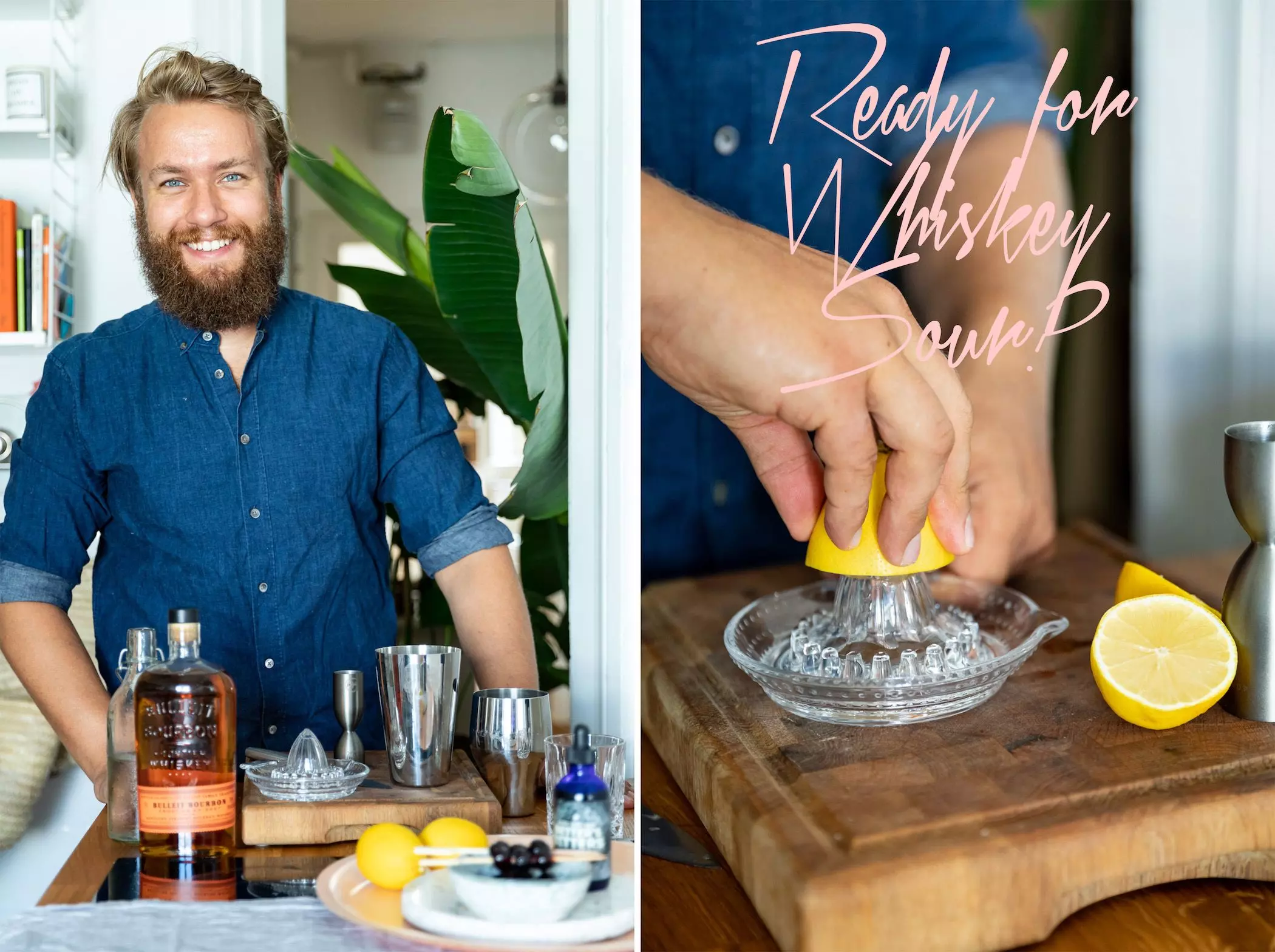 betreutes-trinken-whiskey-sour-rezept