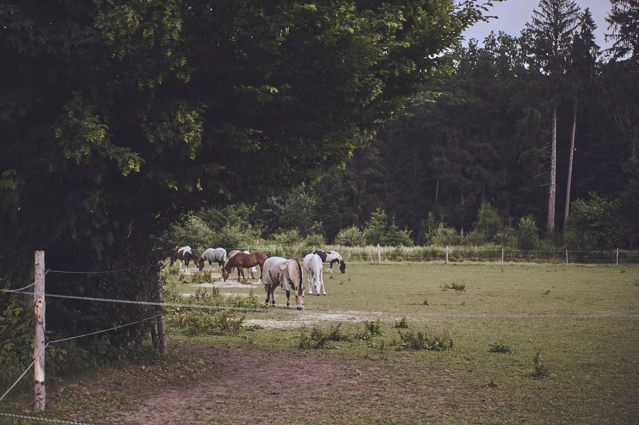 farmmade_014