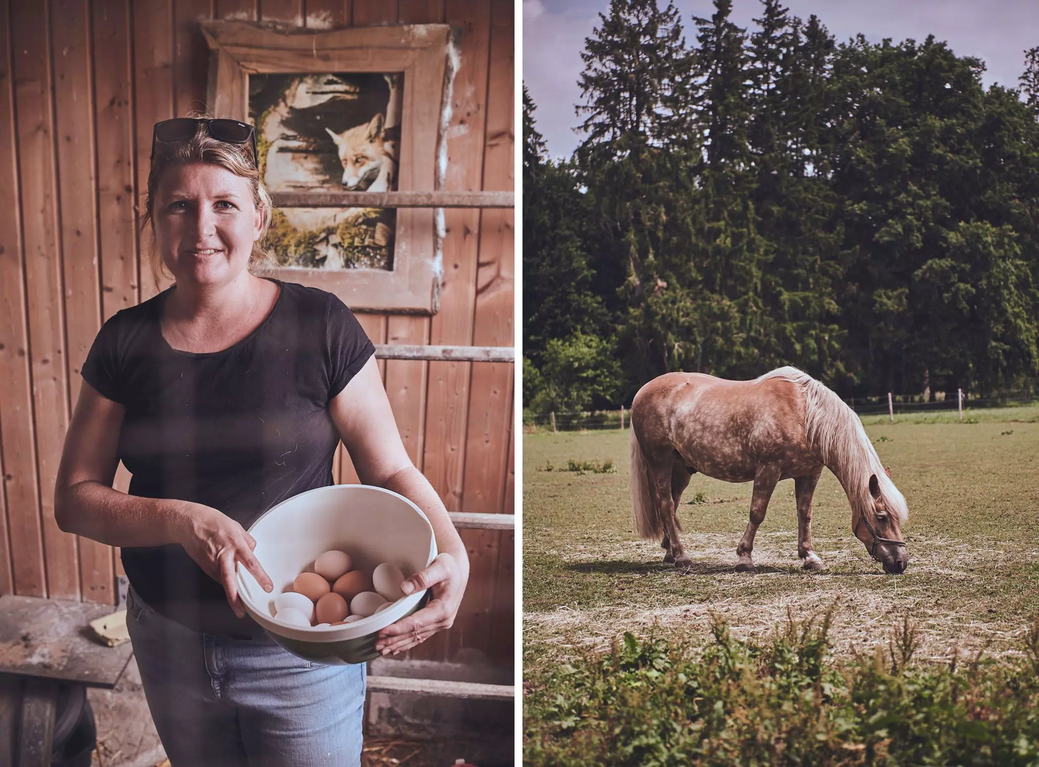 farmmade_020