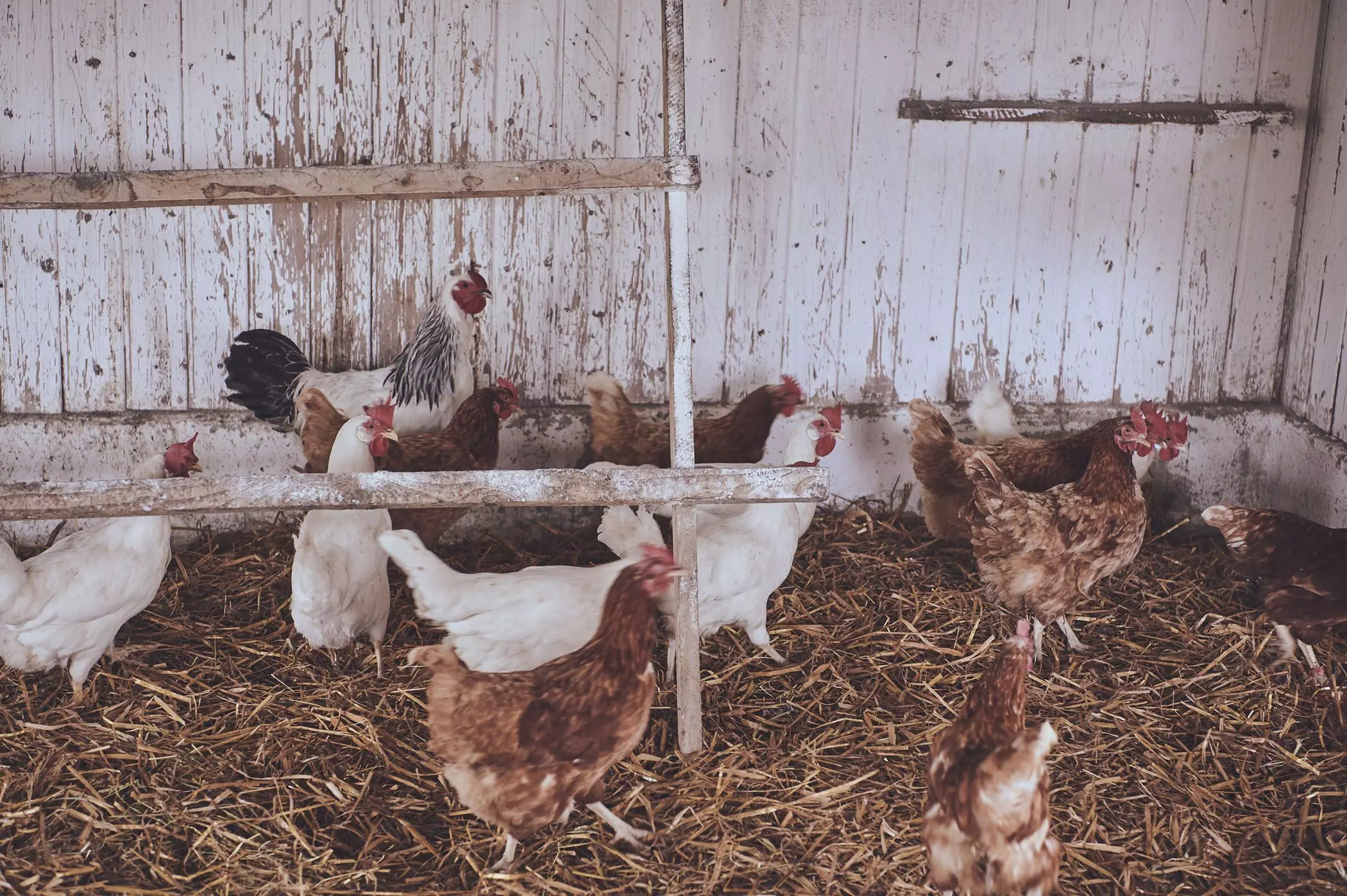 farmmade_021