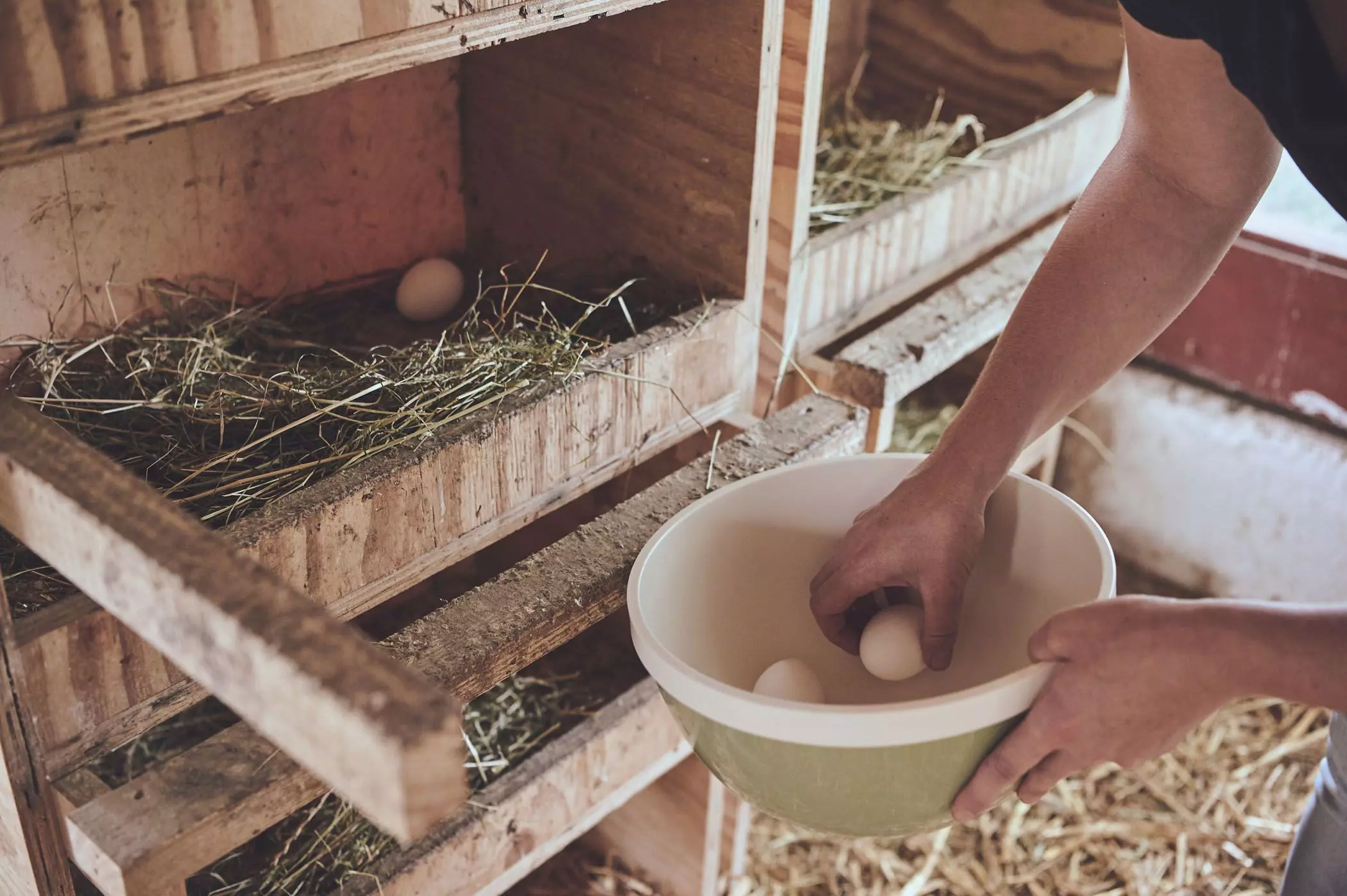 farmmade_022