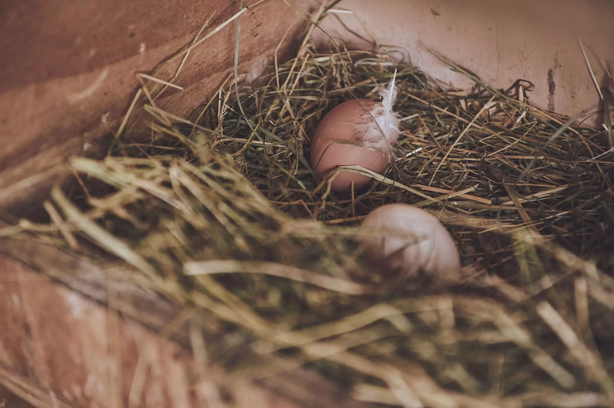 farmmade_023