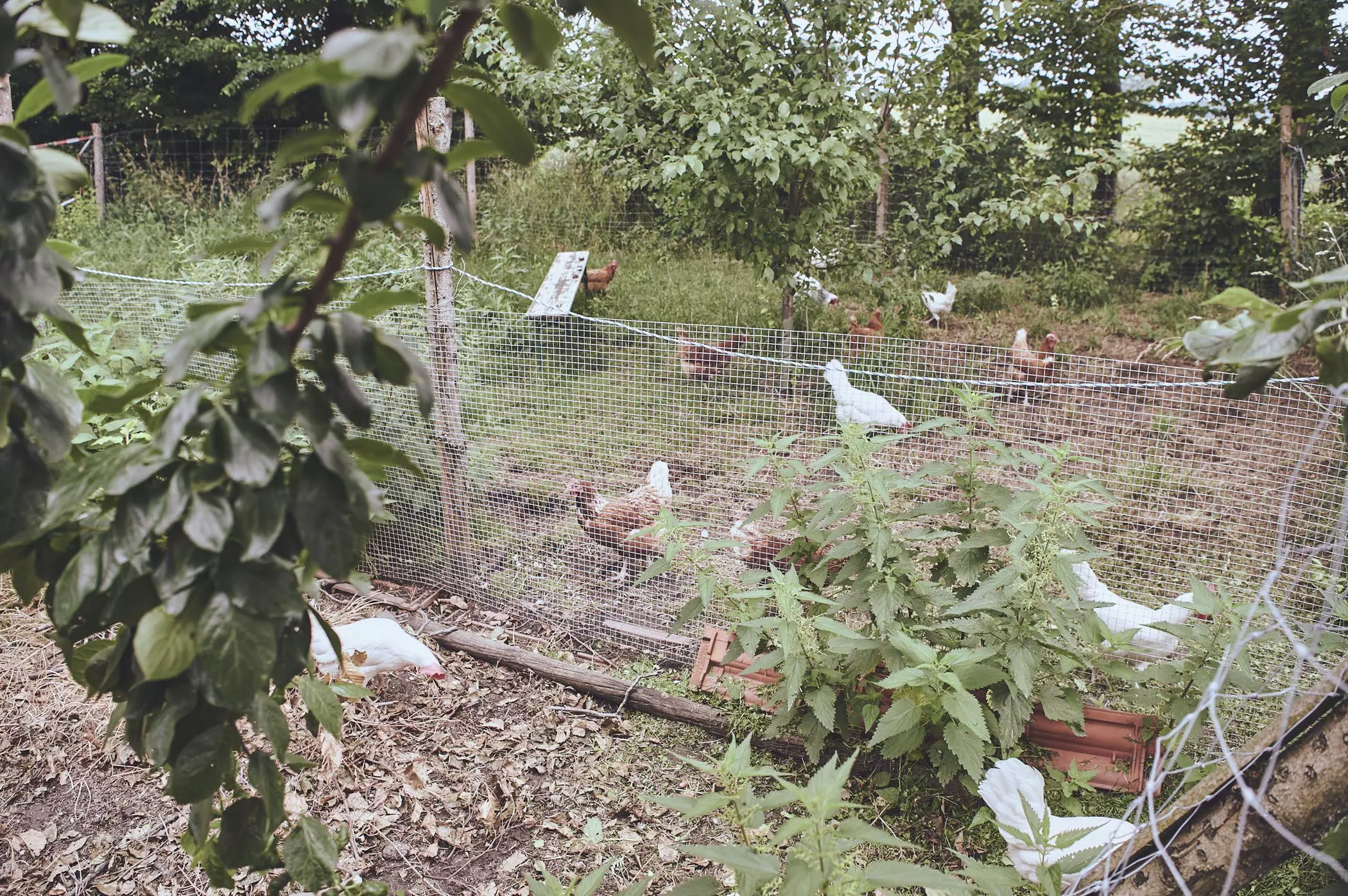 farmmade_025