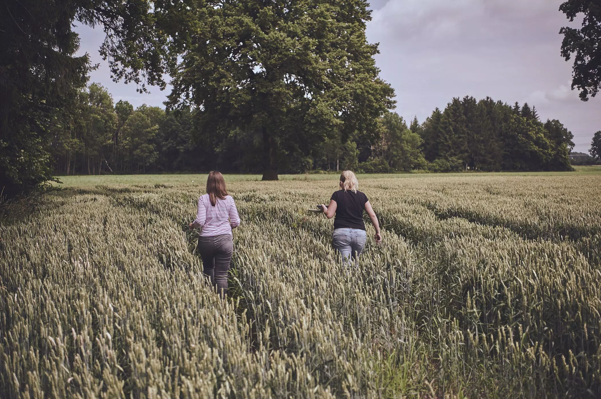 farmmade_035