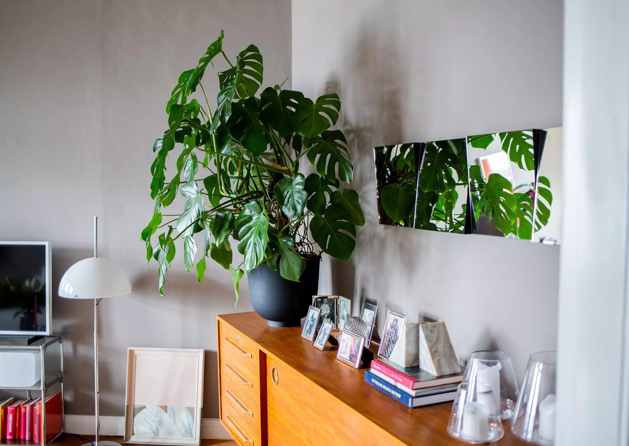 femtastics-Elbgestoeber-Wohnzimmer-Monstera-Kommode