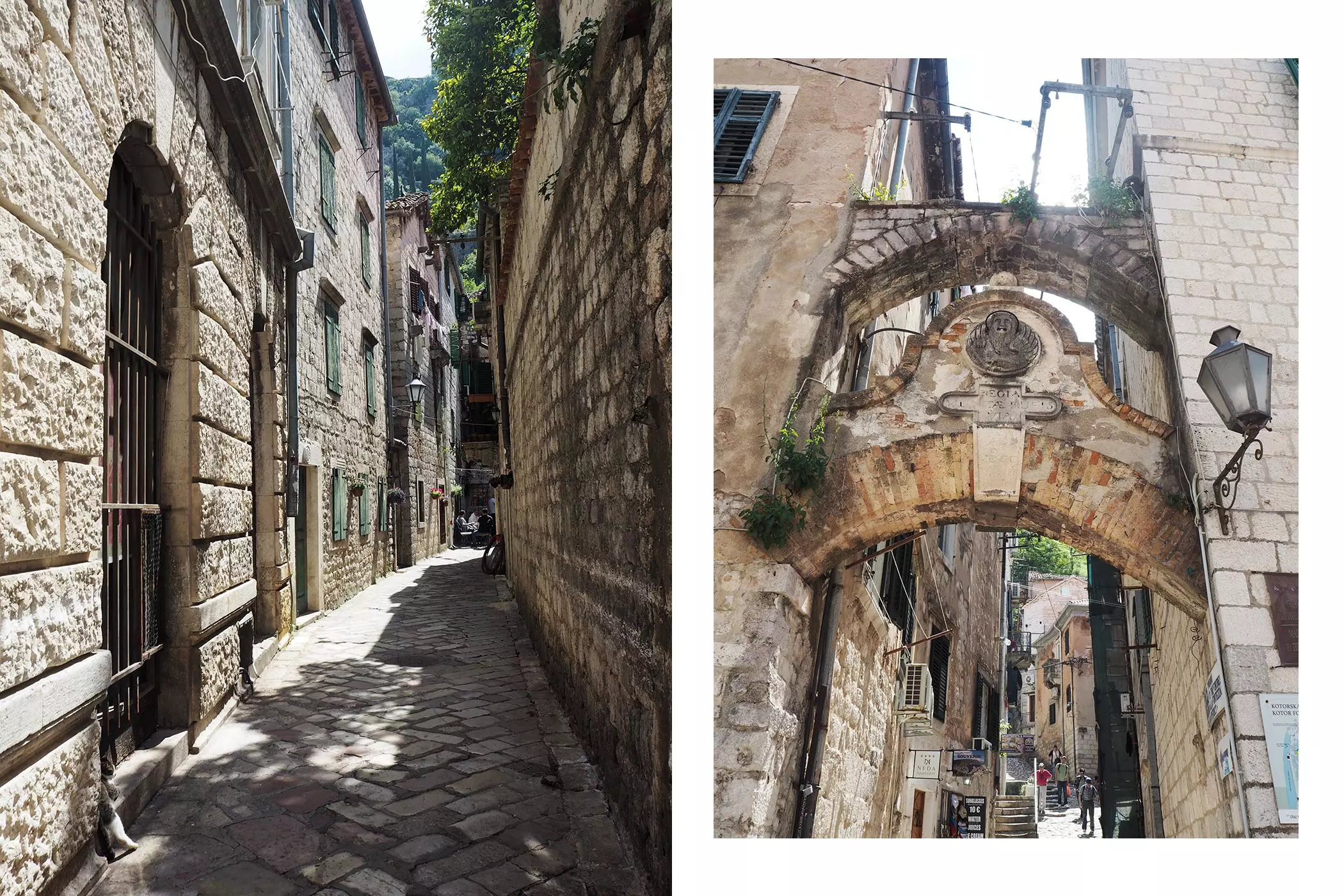 femtastics-Kotor-Gassen