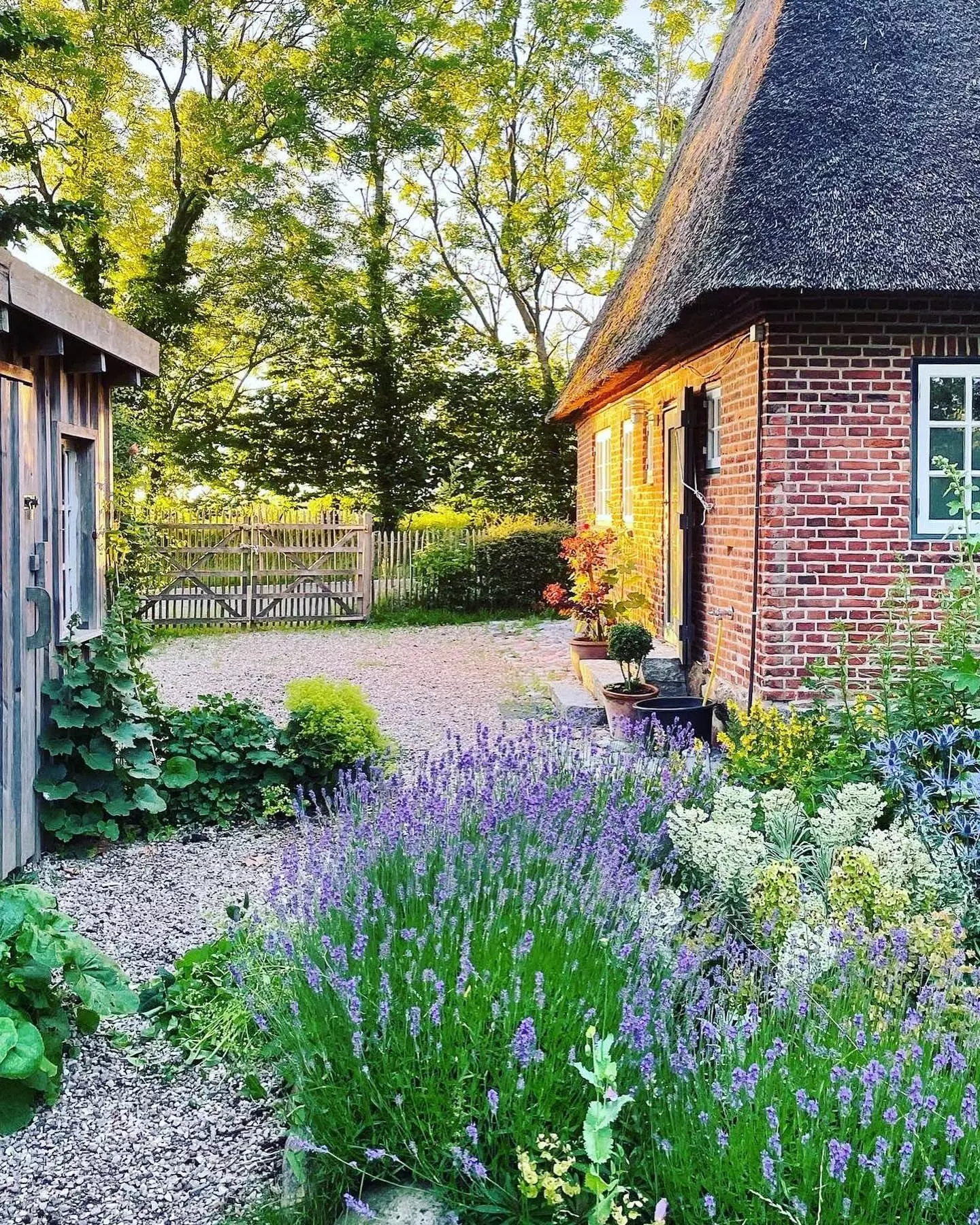 Reetdachhaus mit Garten - femtastics