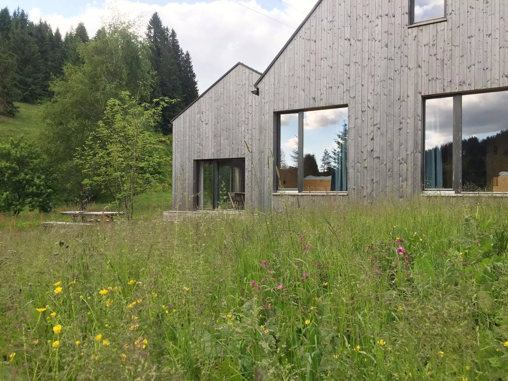Modernes Ferienhaus auf einer Wiese – femtastics