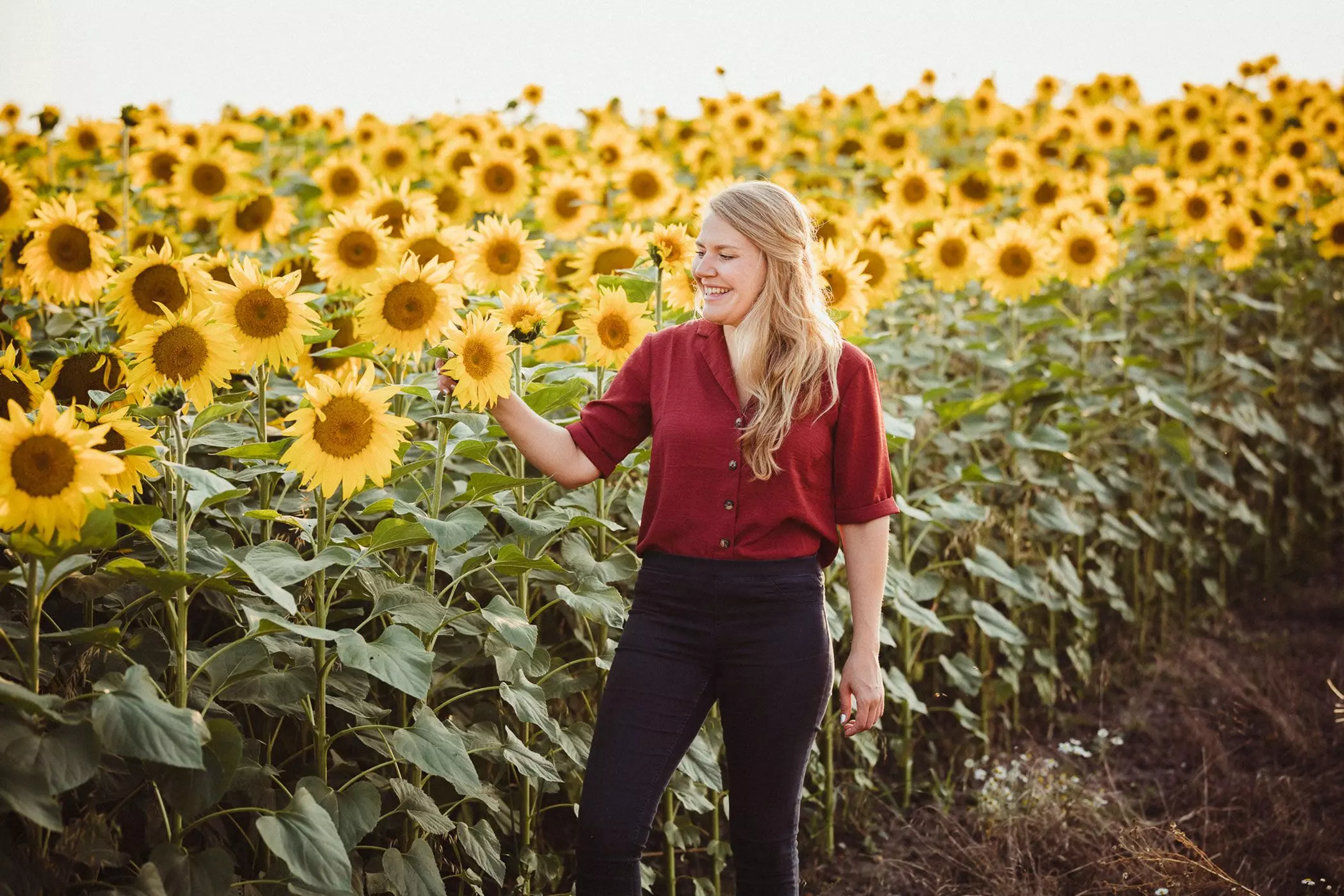 Sonnenblumenfeld von Nabio - femtastics