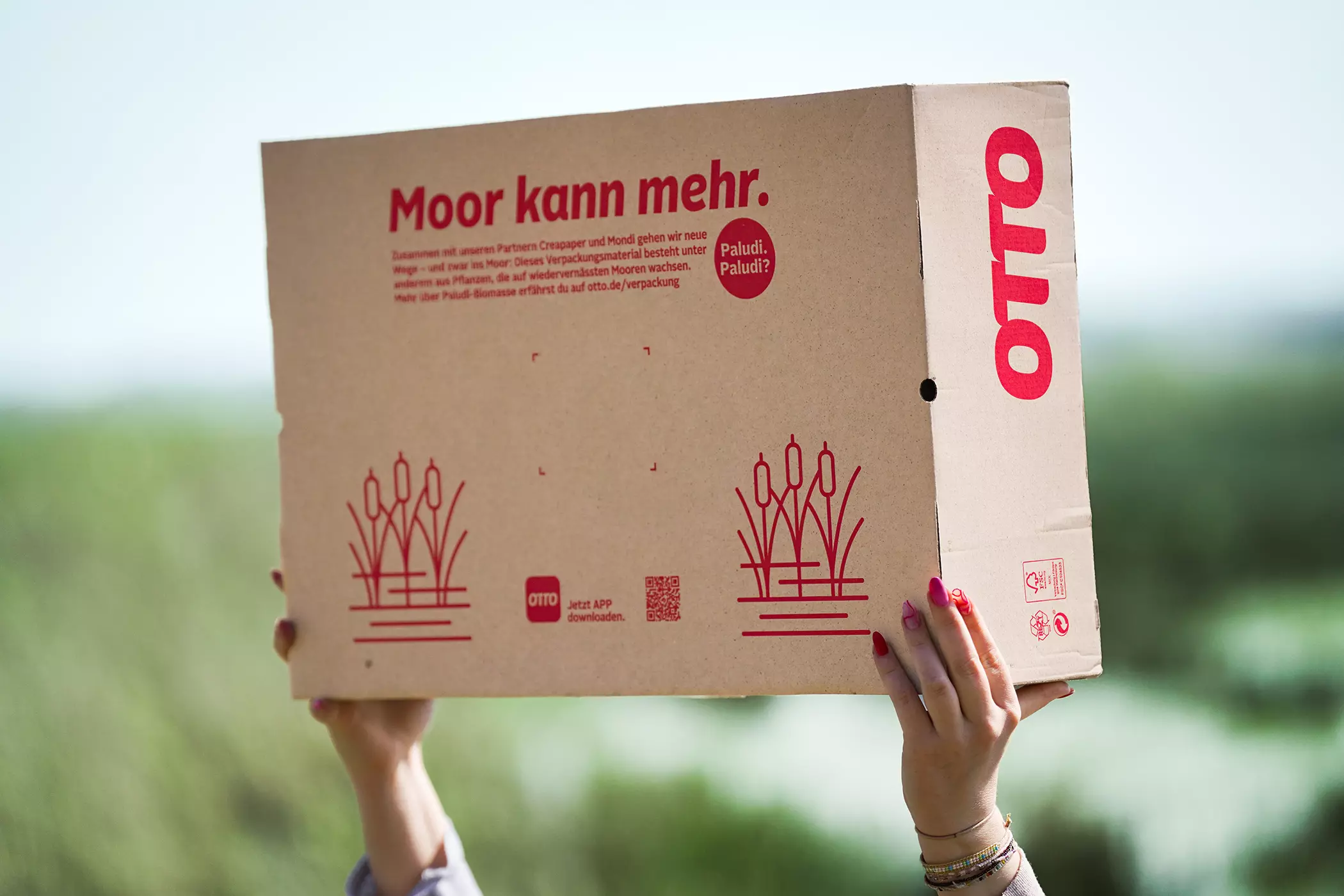 OTTO Paludi-Versandkarton wird hochgehalten