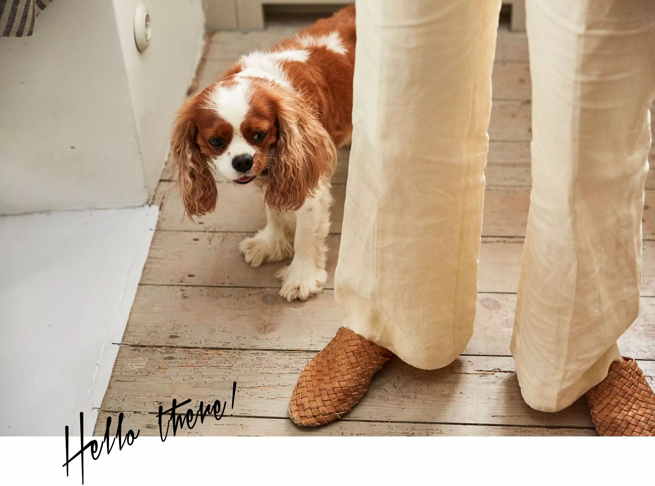 femtastics-Our-Food-Stories-Hund