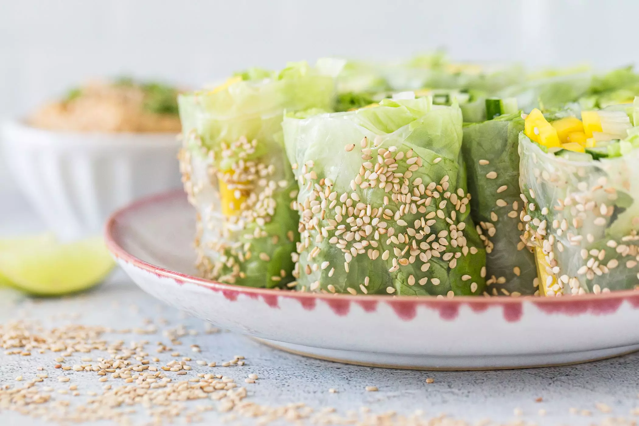 femtastics-Rezept-Sommerrollen