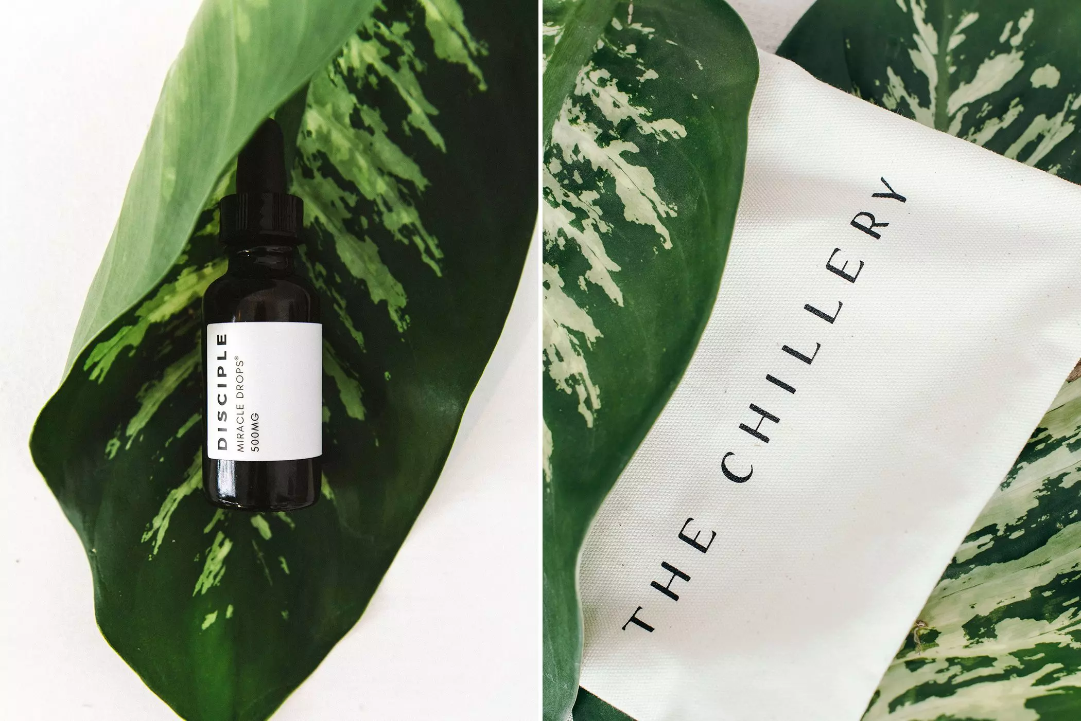 femtastics-The-Chillery-CBD-Drops