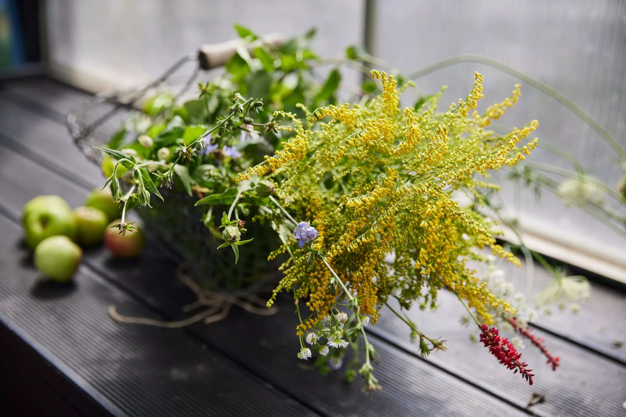 Kräuter und Äpfel aus dem Garten - femtastics