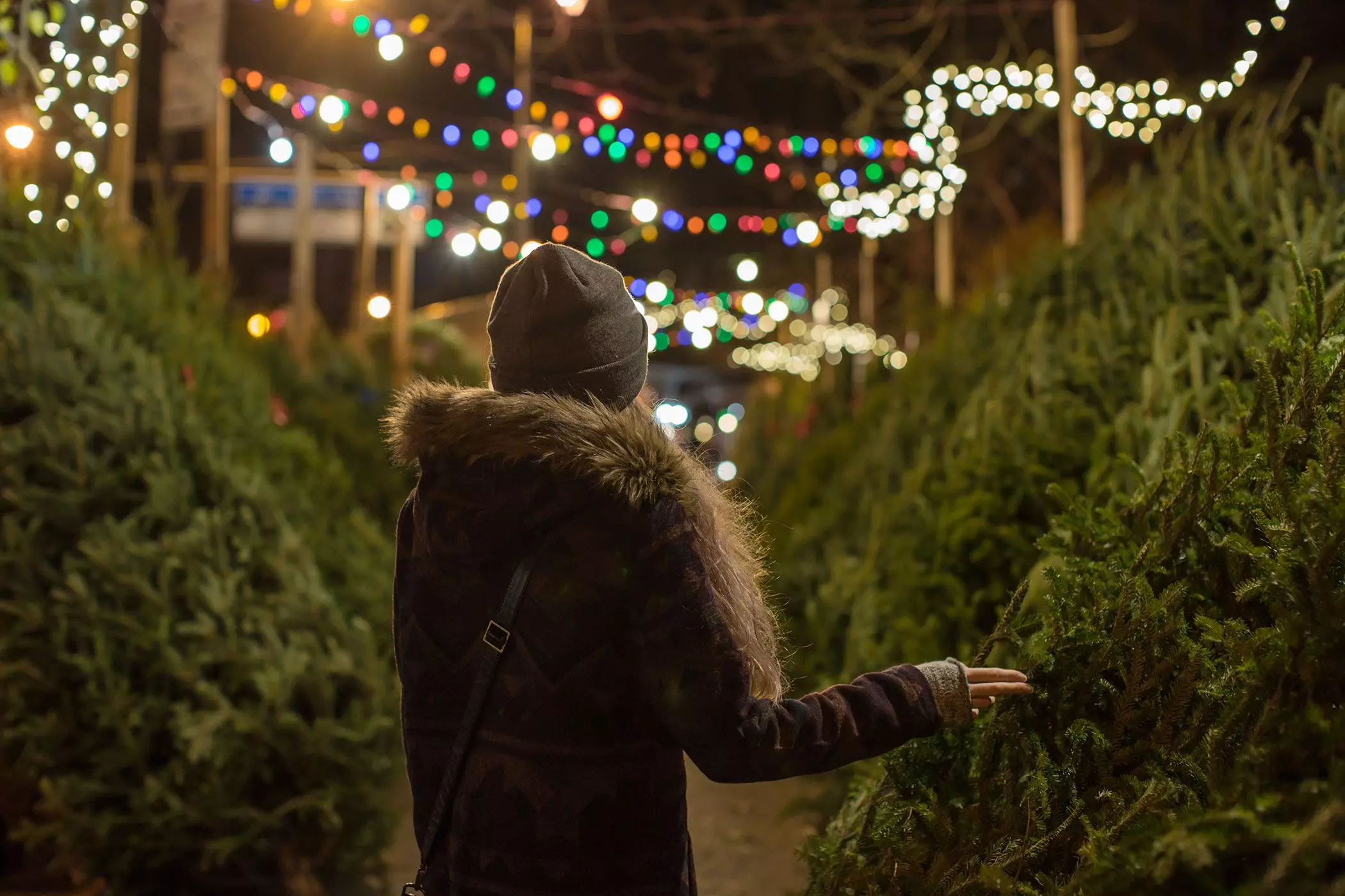 femtastics-nachhaltige-Alternativen-zum-Weihnachtsbaum