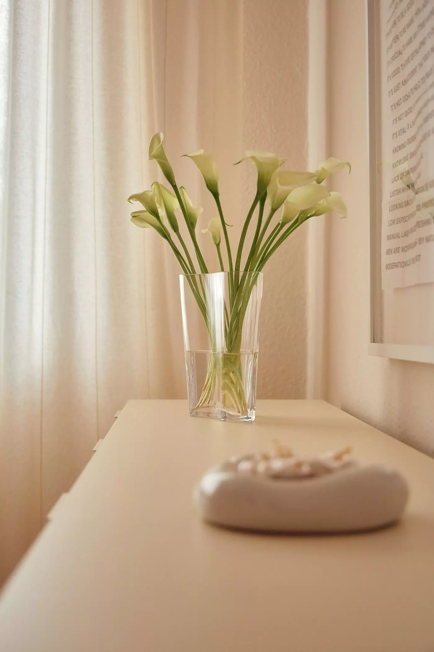 Weiße Blumen