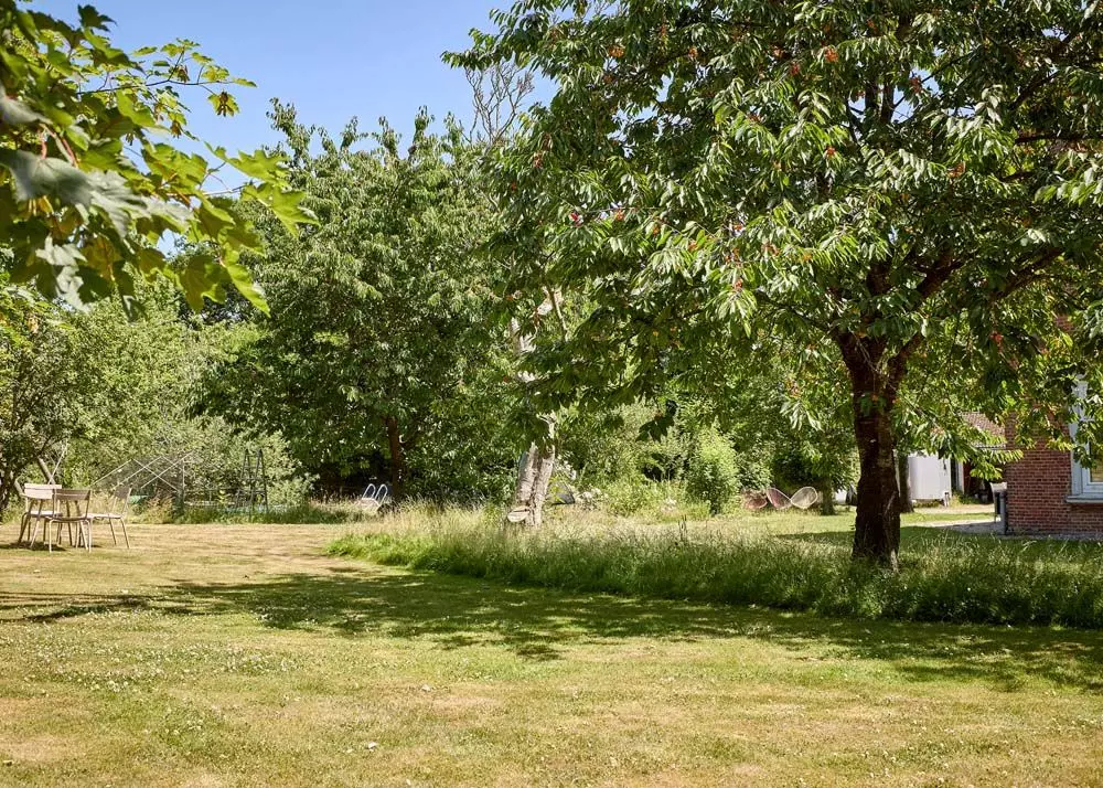 Eva Kaiser wilder Garten