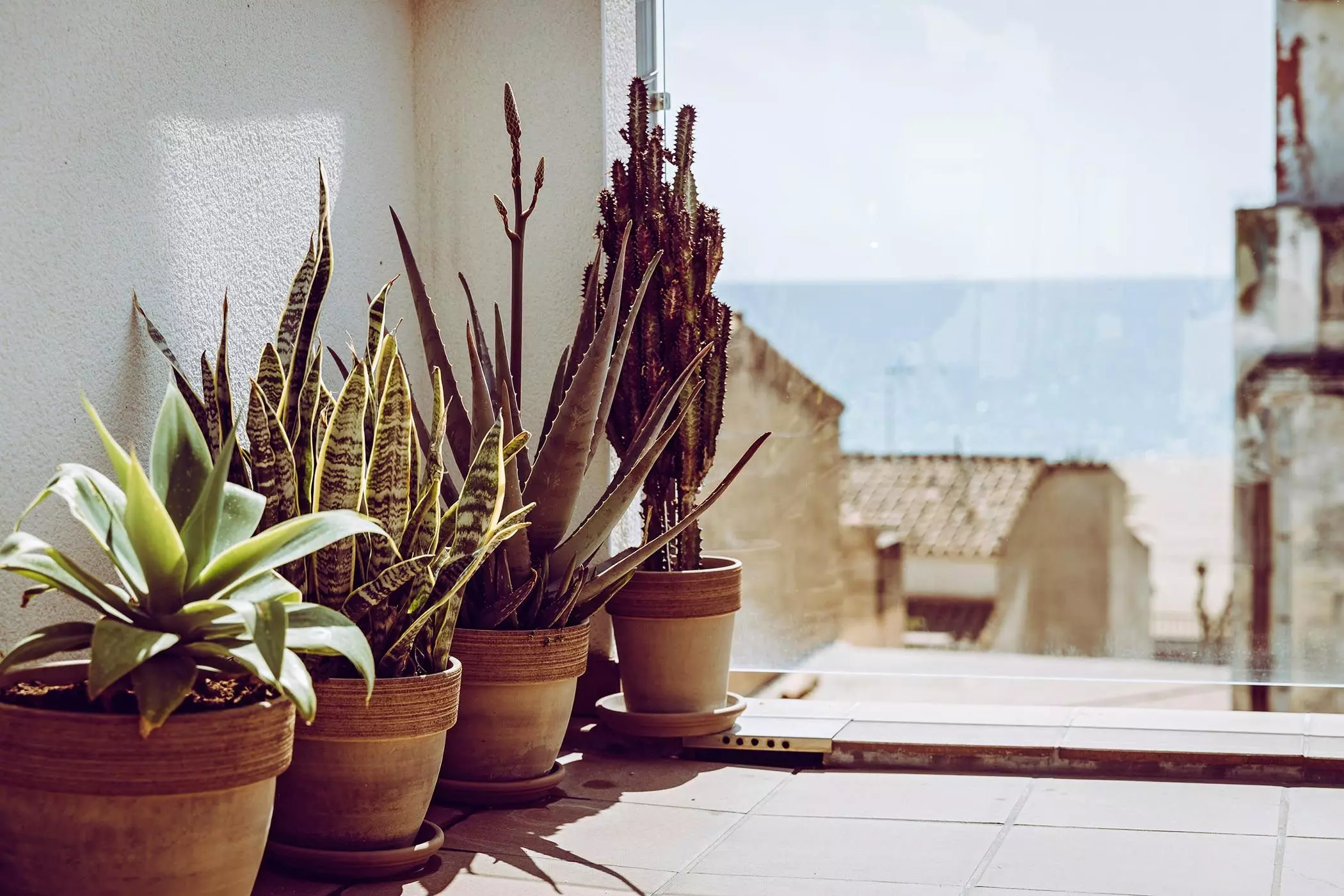 femtastics_Patrick_Burkert_Karen_Prats_Wohnung-Barcelona-13