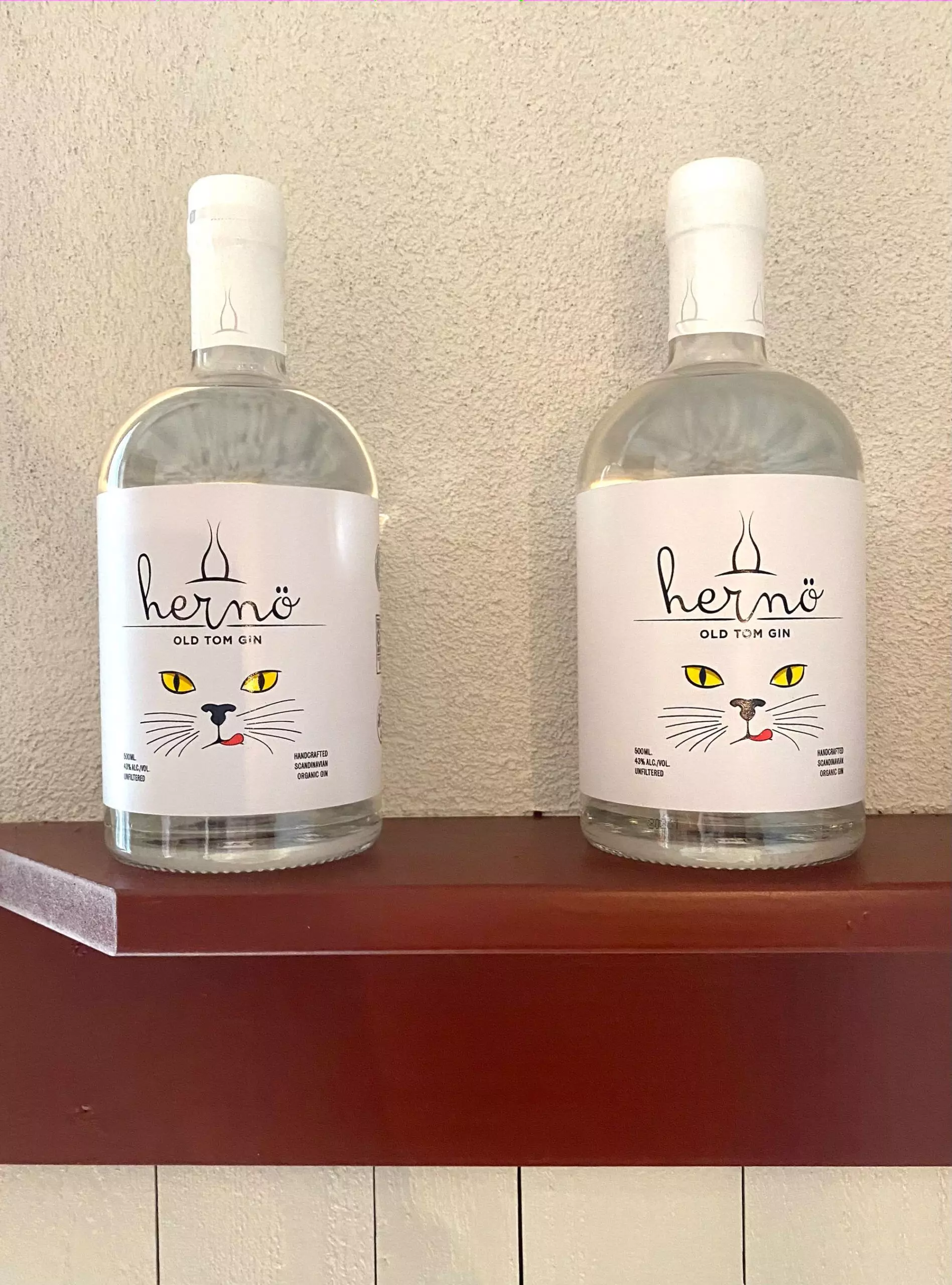 hernoe-gin-katze