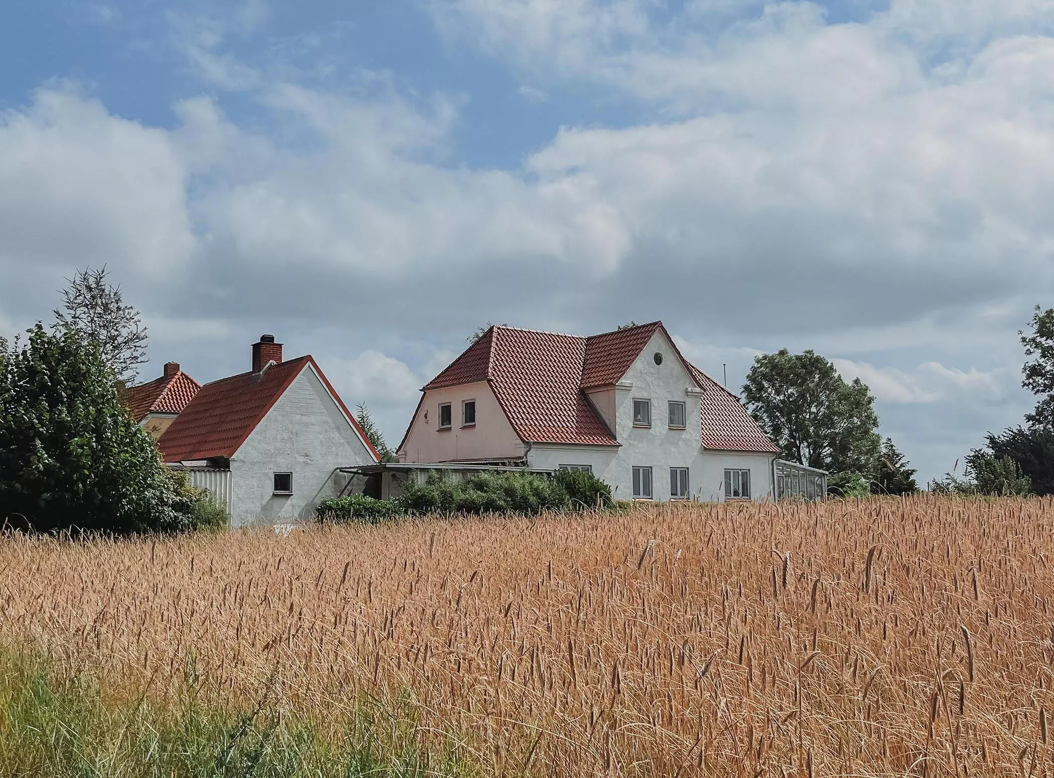 Das Haus in Dänemark von Nina Johannsen liegt idyllisch direkt am Kornfeld - femtastics