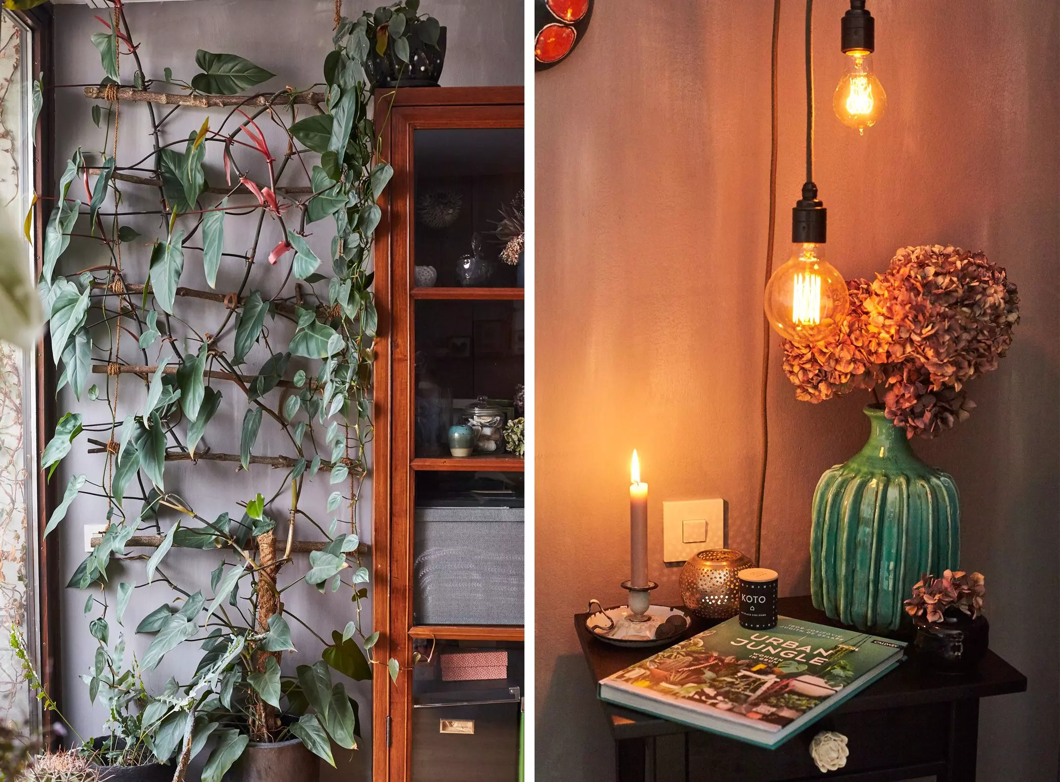 homtastics-Ben-Mayer-Muenchen-Pflanzen