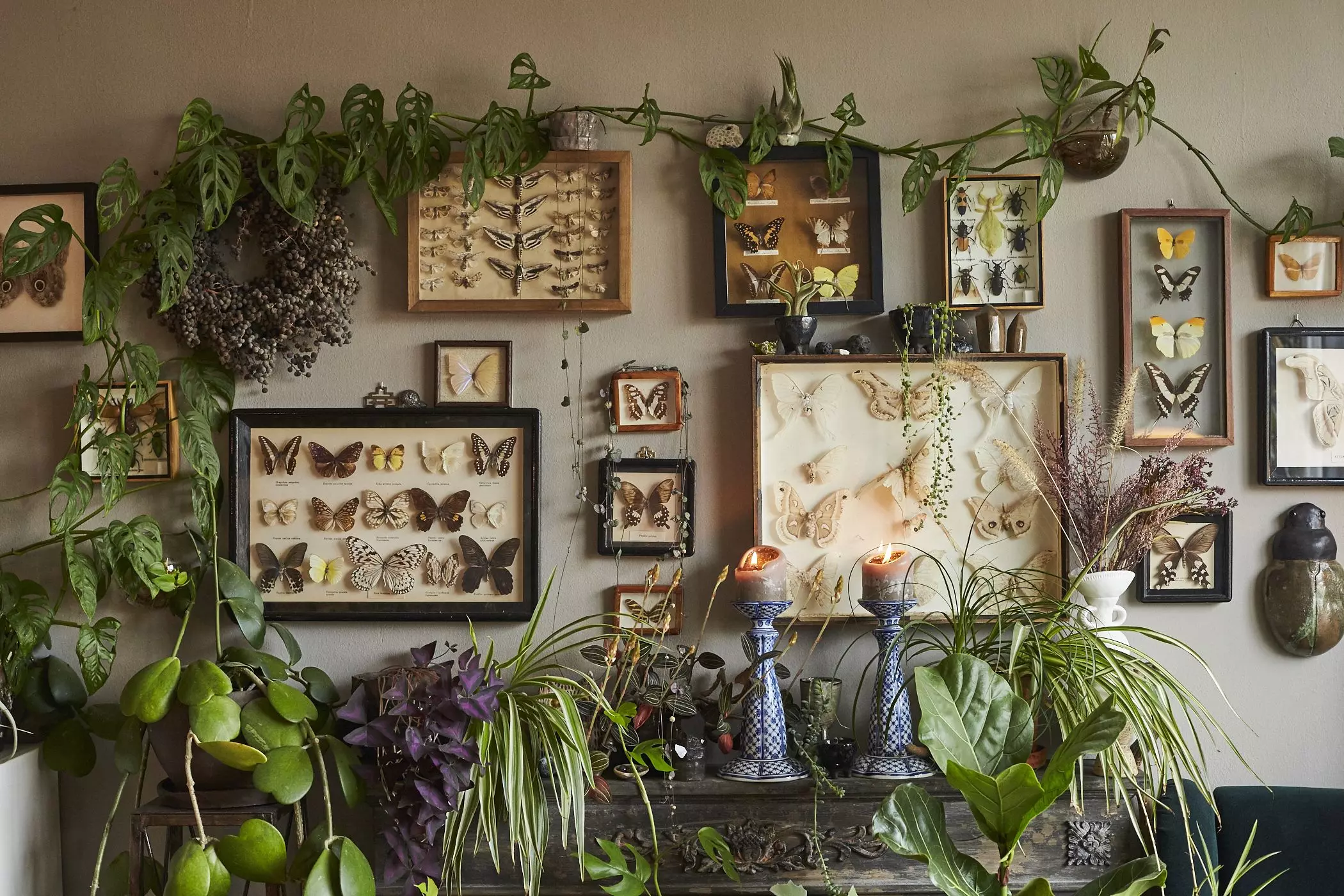 homtastics-Ben-Mayer-Urban-Jungle-Homestory