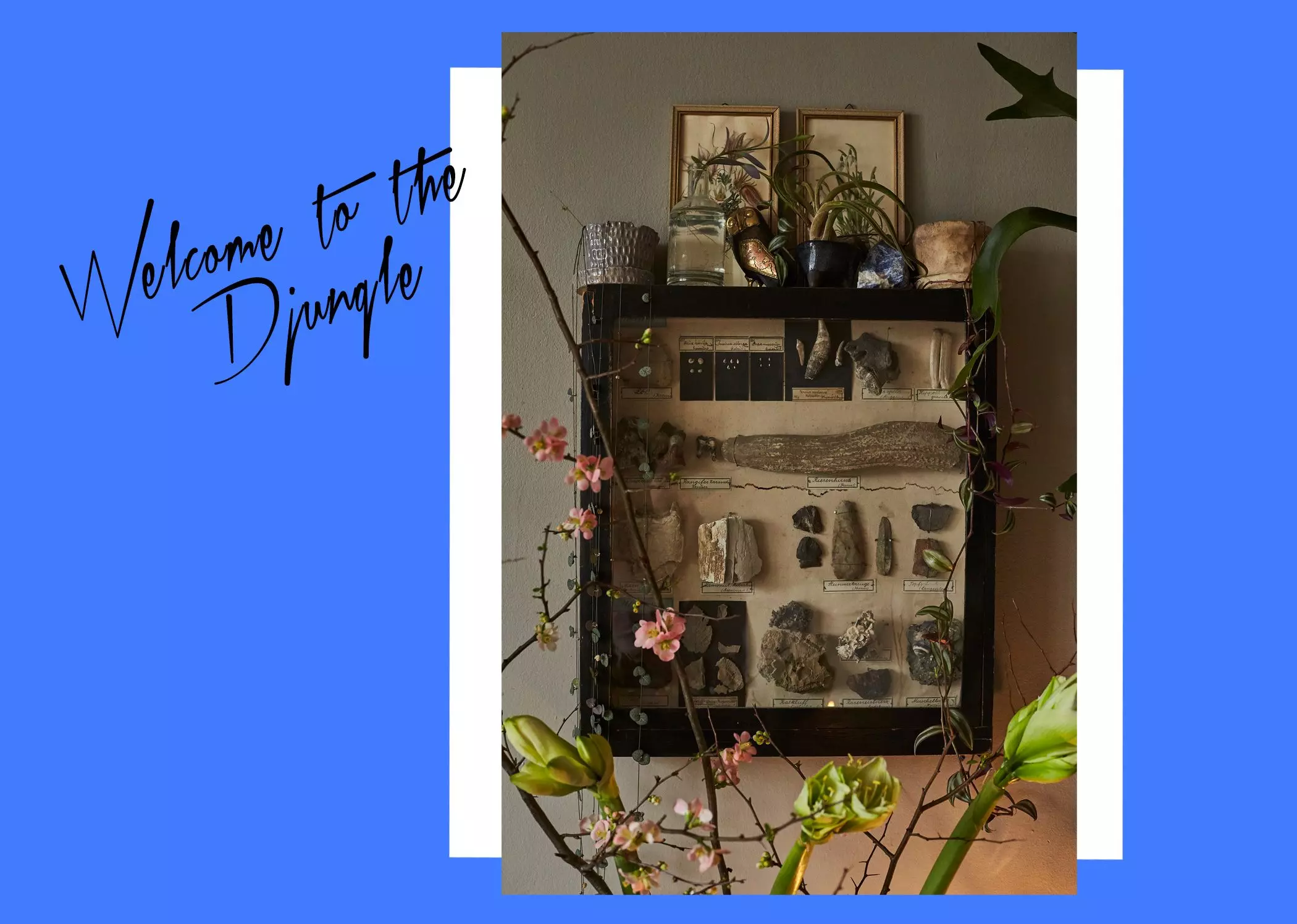 homtastics-Ben-Mayer-Wohnung-details