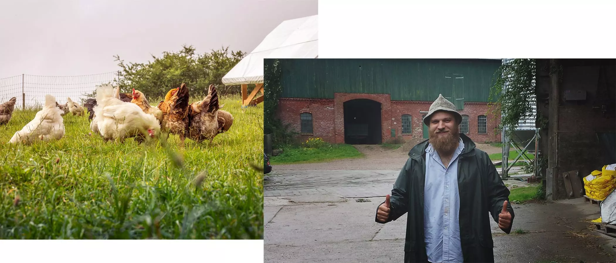 homtastics-Hofhuhn-Blogger-1