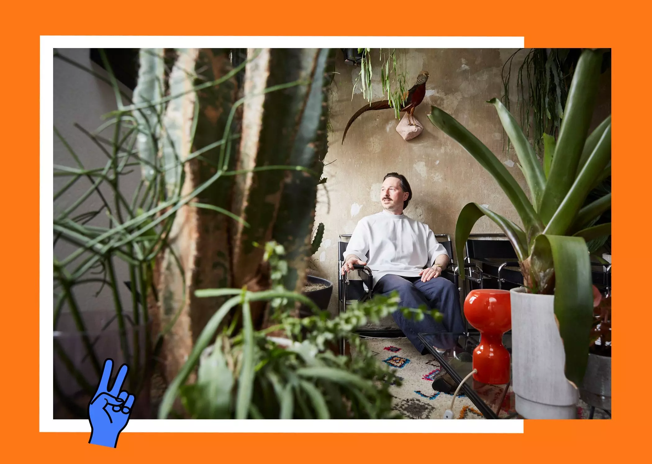 homtastics-Mike-Klar-Urban-Jungle-Zimmerpflanzen-Trend