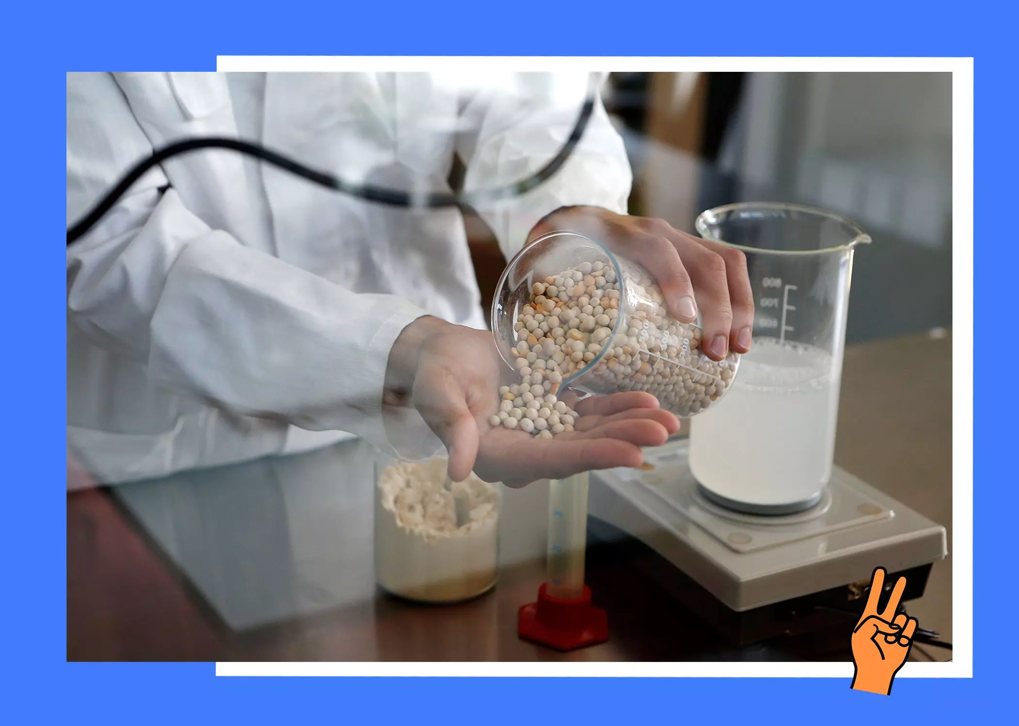 homtastics-Vly-Erbsenproteinmilch-Herstellung