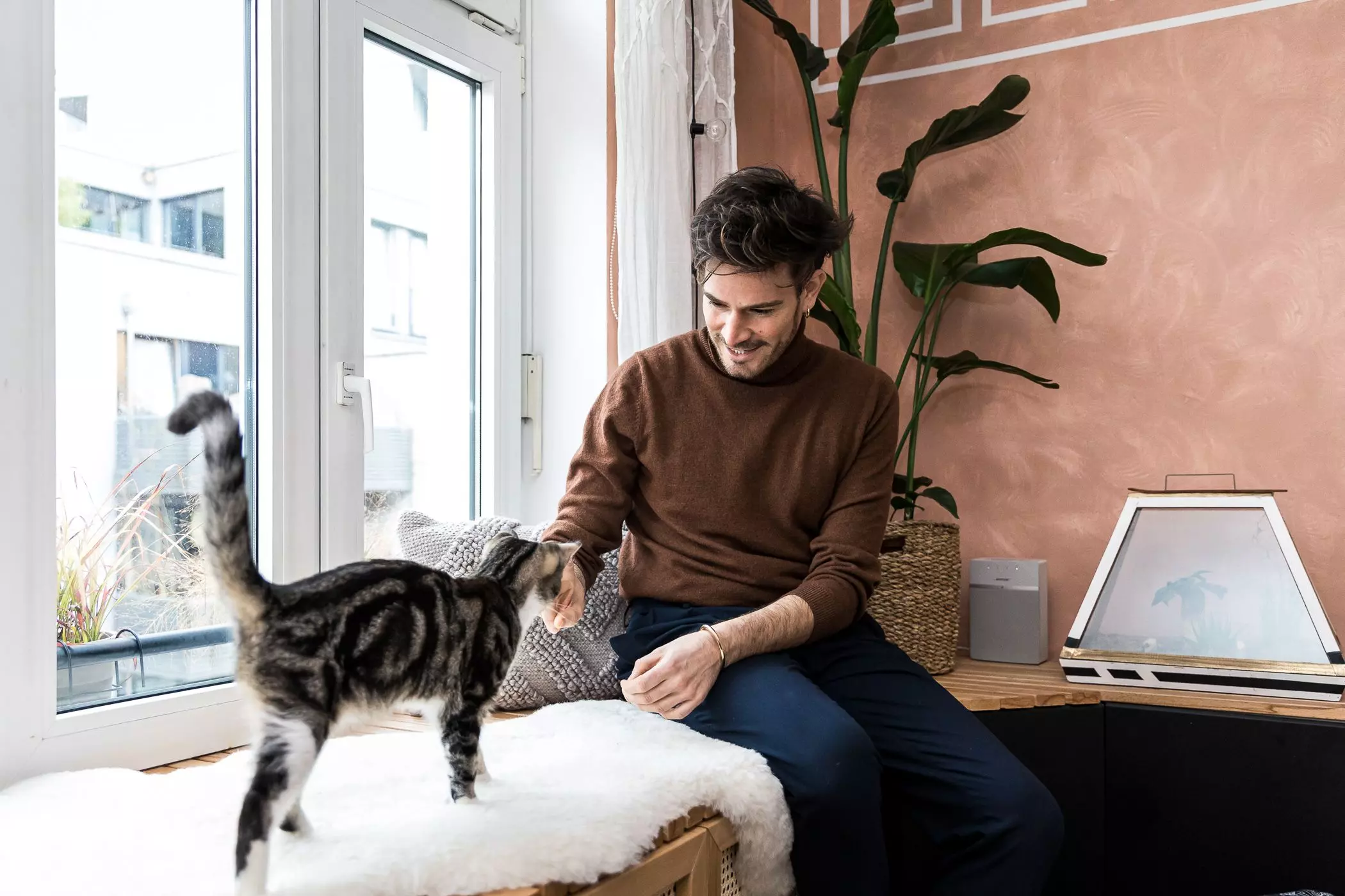 homtastics-design-plants-hercules