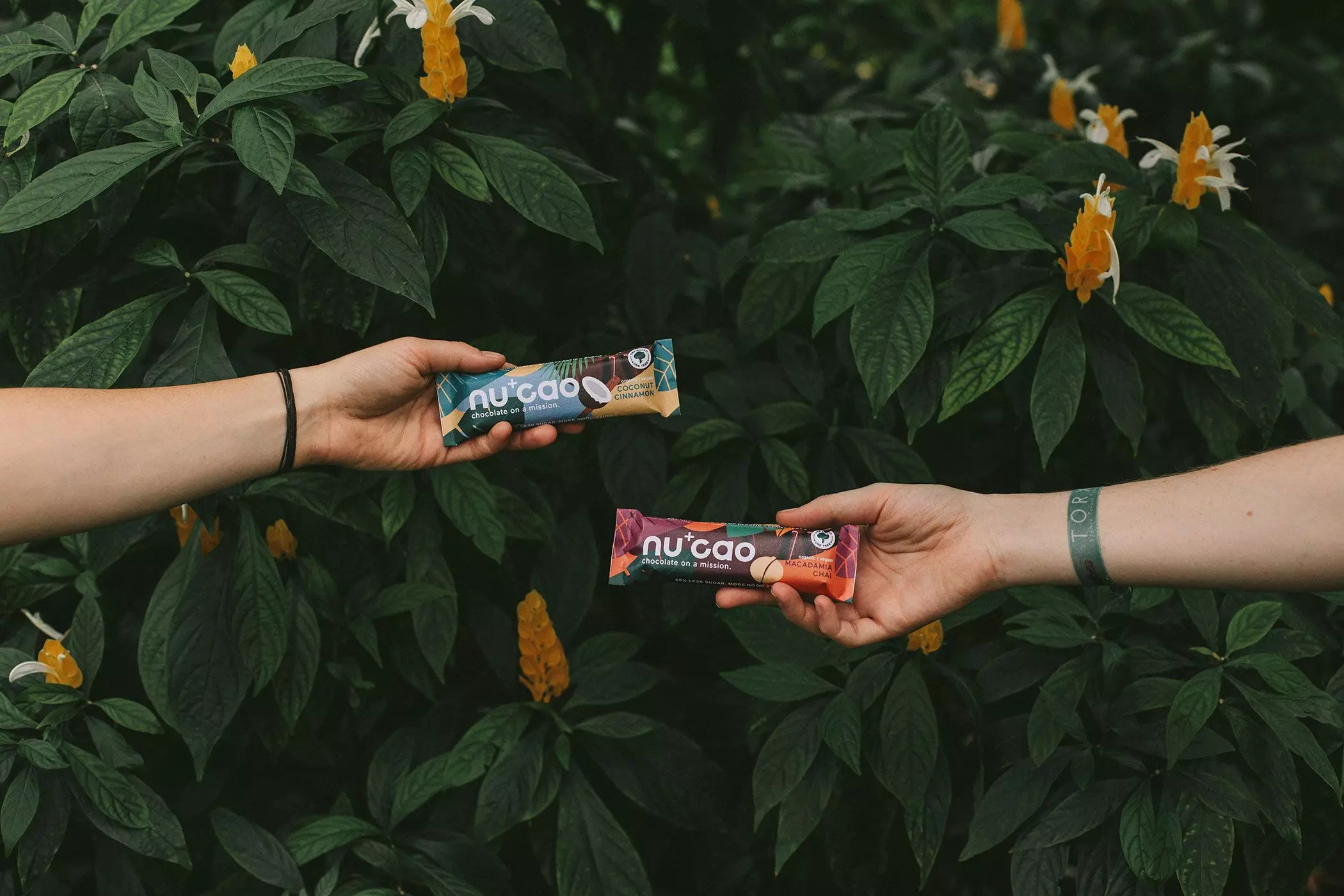 homtastics-nucao-vegane-schokolade