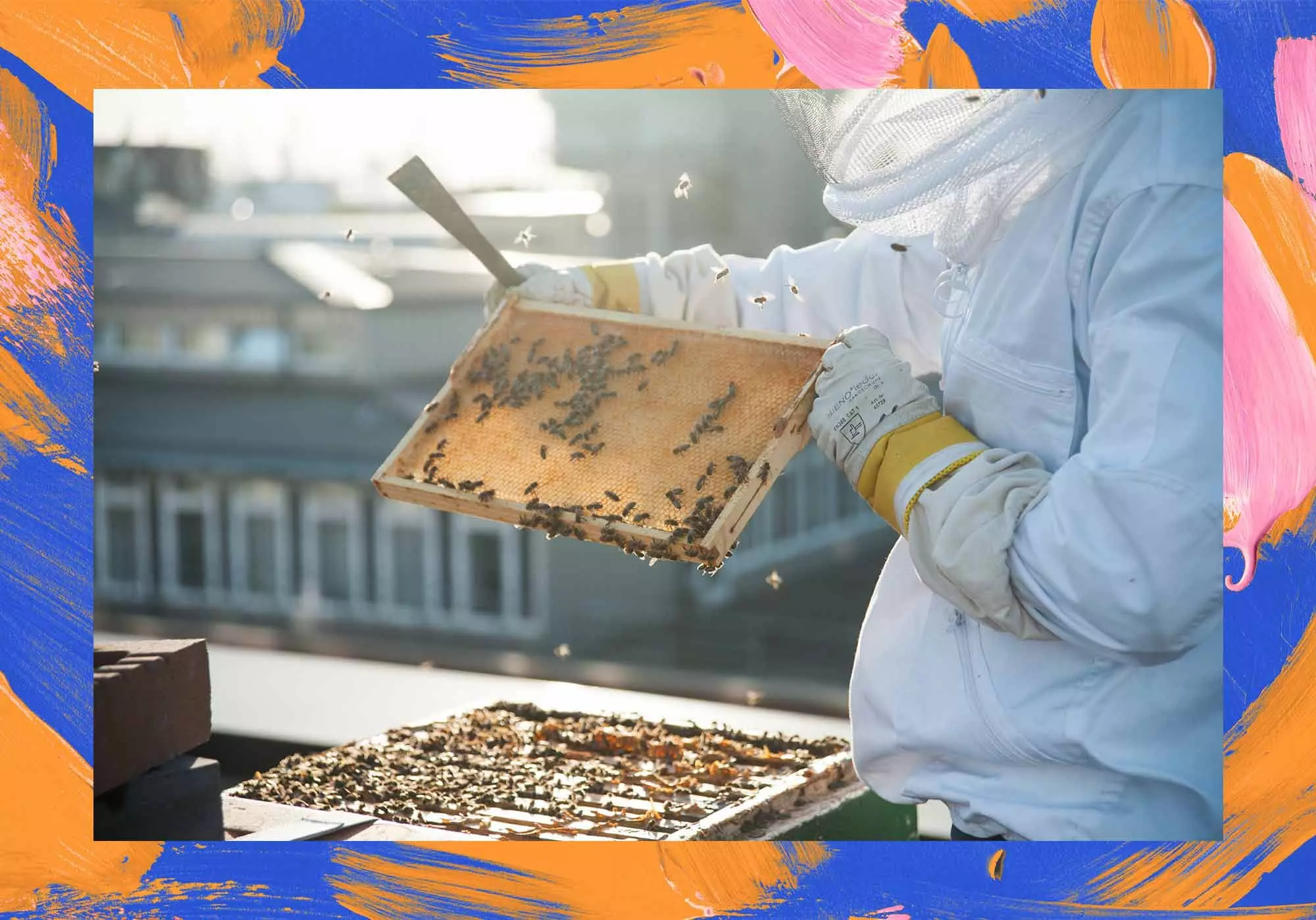 homtastics_Bienen-Story_02